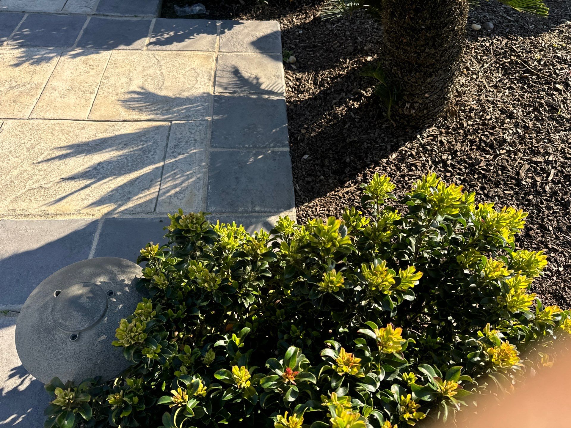 Solar Roof Leak Repair  by Grandmark Service Company