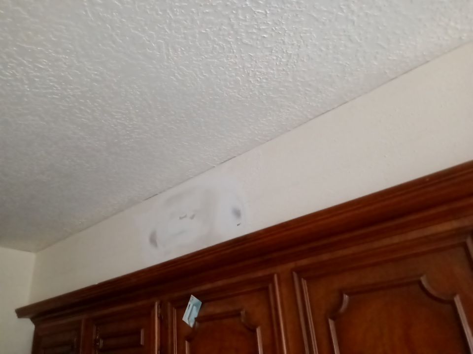 Interior and exterior painting project by Roof Concepts Construction