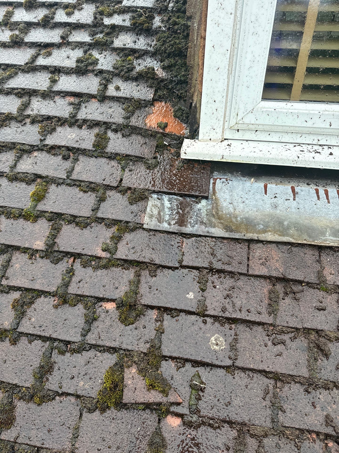 Roof Clean  - Moss Removal - Gutter Clean using Softwash Equipment by Ges Exterior Cleaning ltd