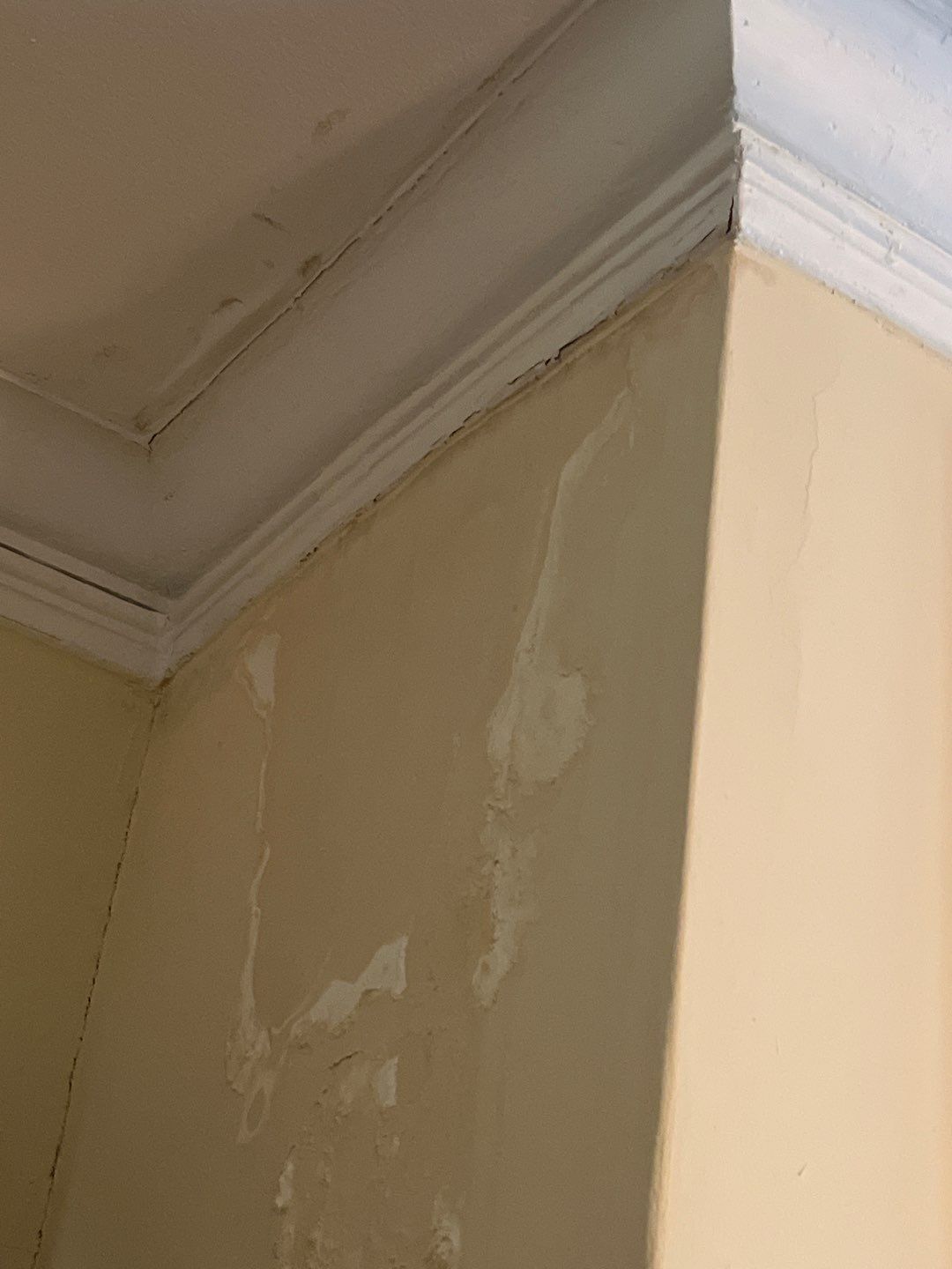 Residential Roof Replacement using Owens Corning Trudef Twilight Black by Inspector Roofing and Restoration