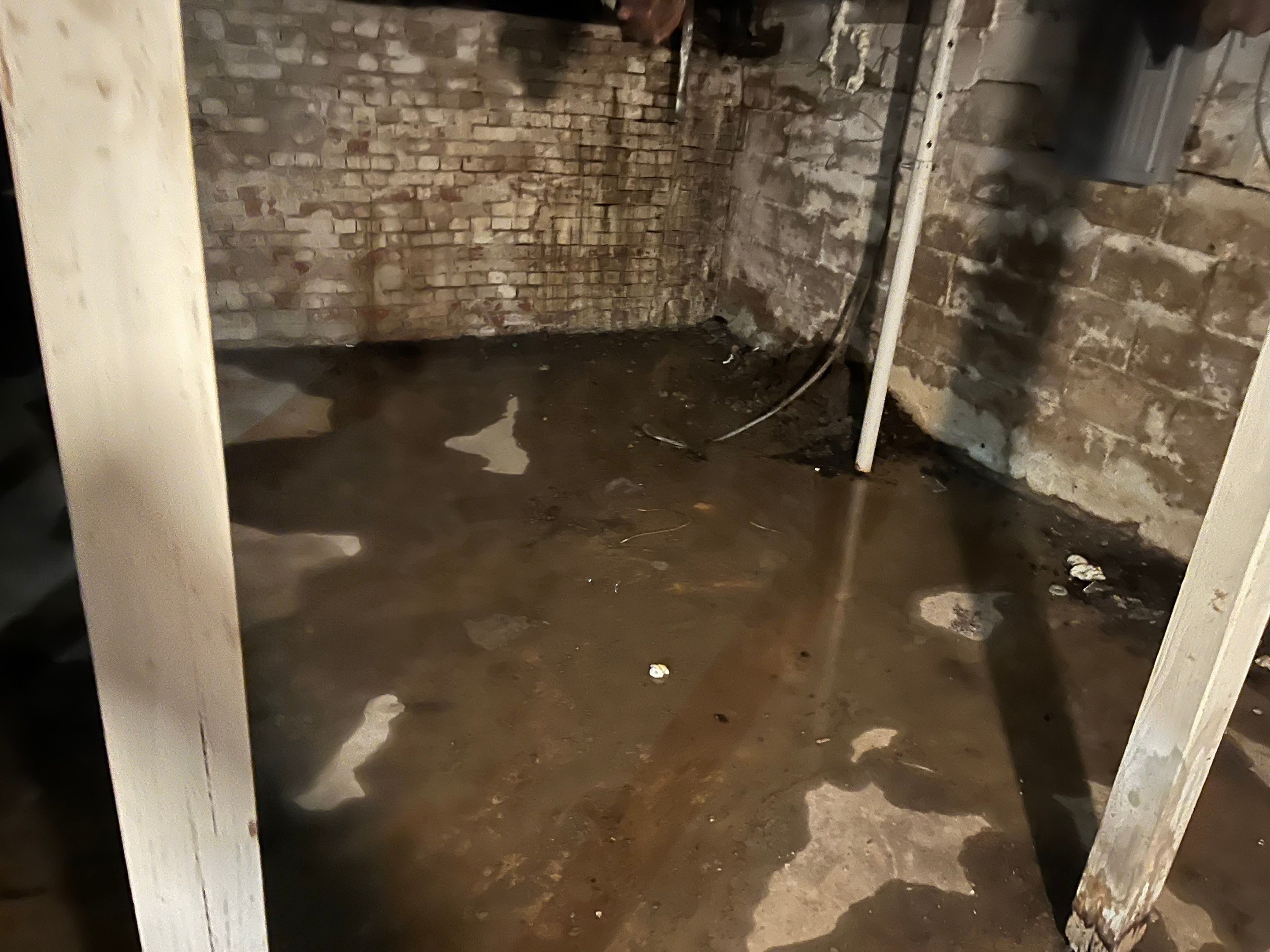 Basement Water Damage in New Albany, IN by ANR Restoration