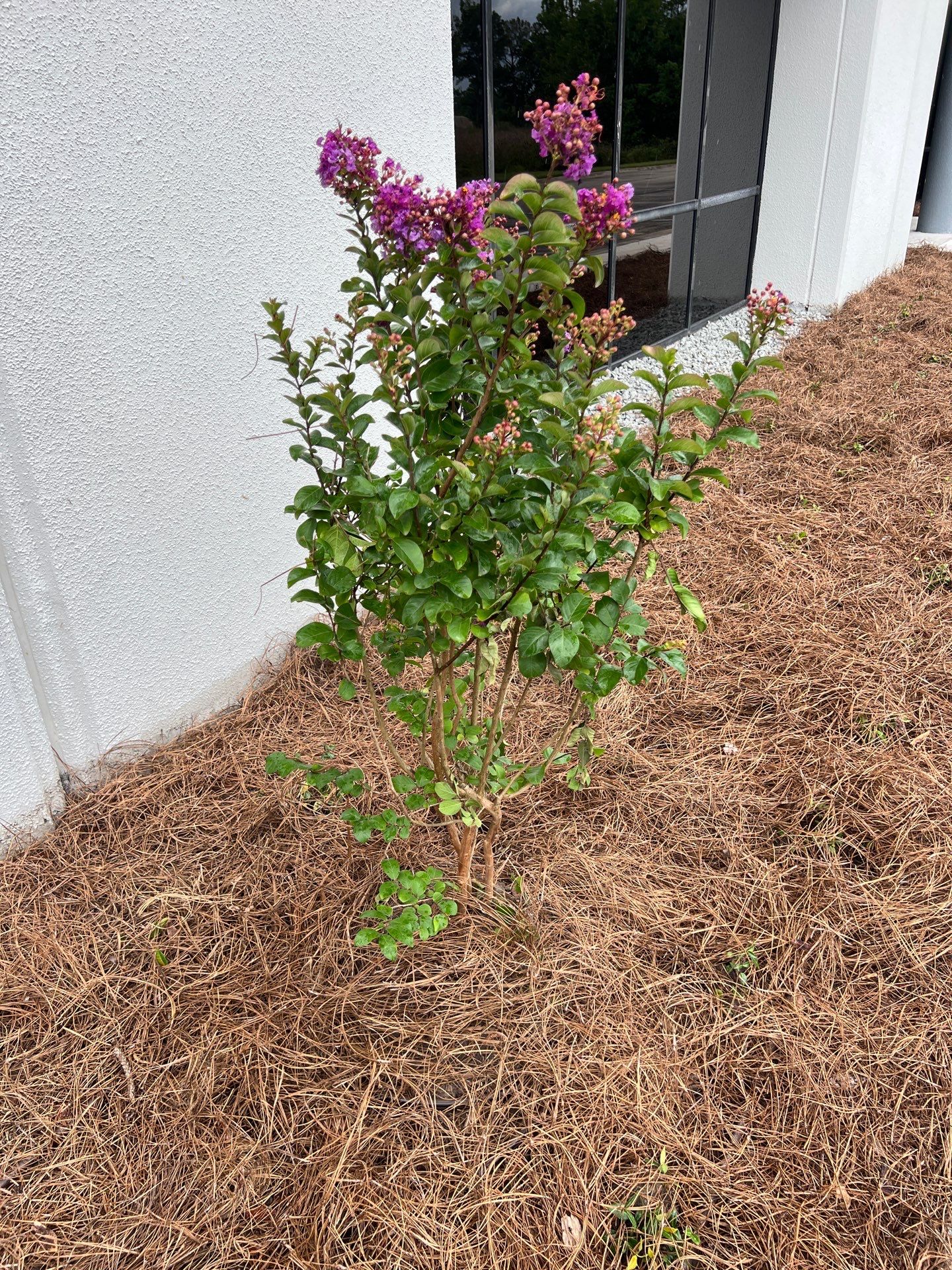 Large Landscape Project | Center Point by ProGreen Services
