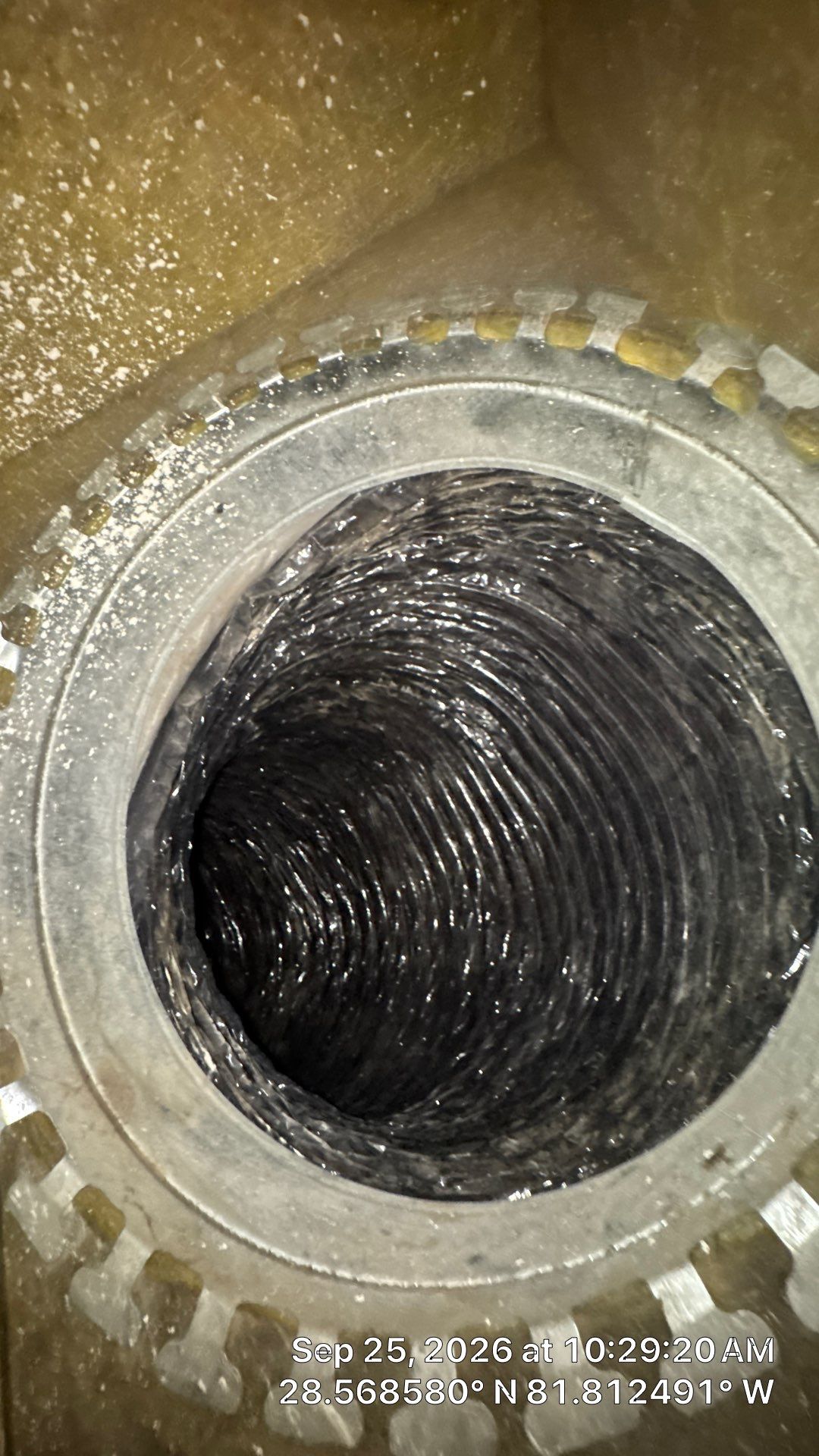 Air Duct Cleaning & Plenum Sealing in Groveland by Hygienic Air, Inc