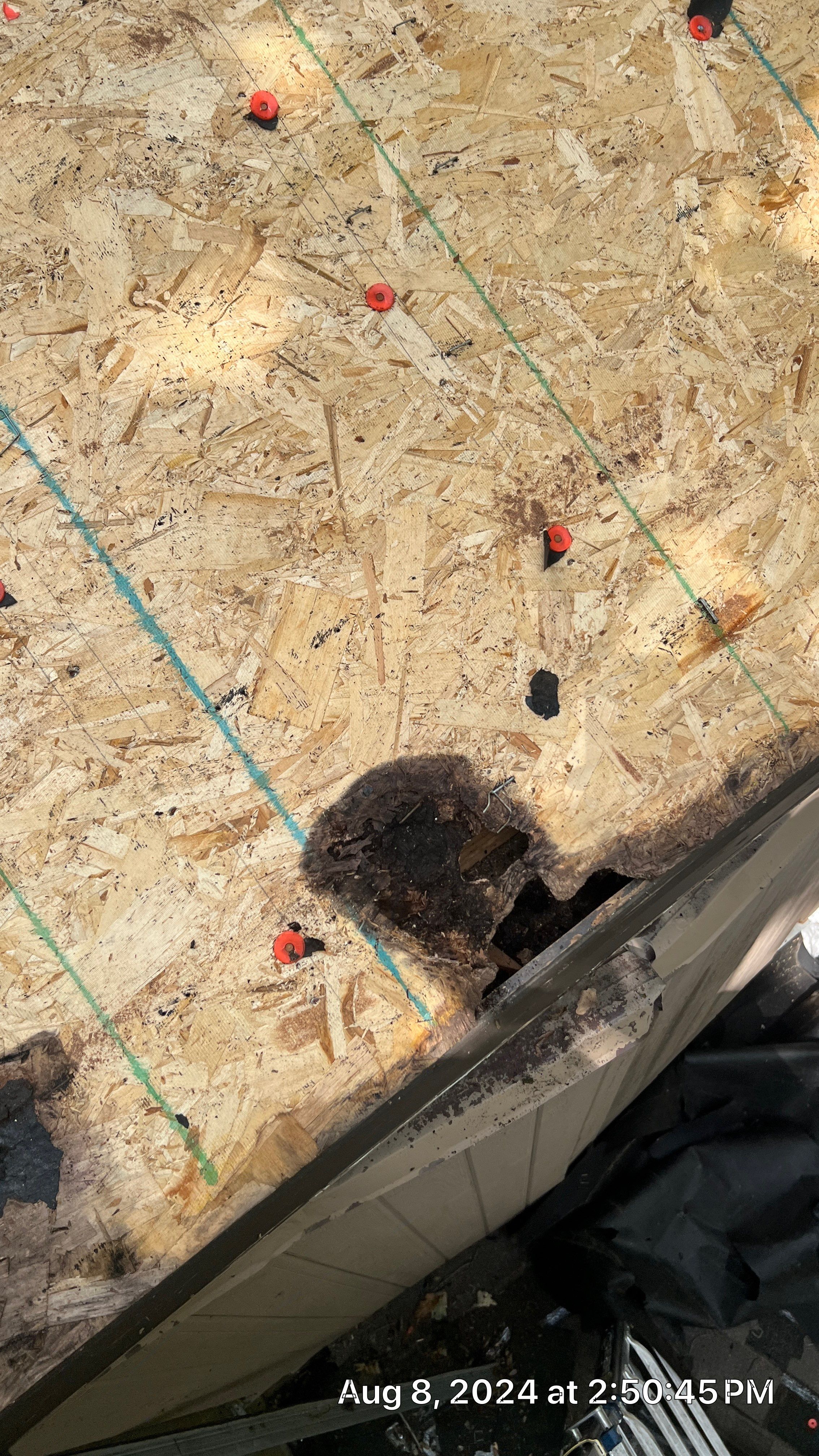 Malarkey Roof Replacement & Skylight Installation – Omaha, NE by Crows Roofing LLC