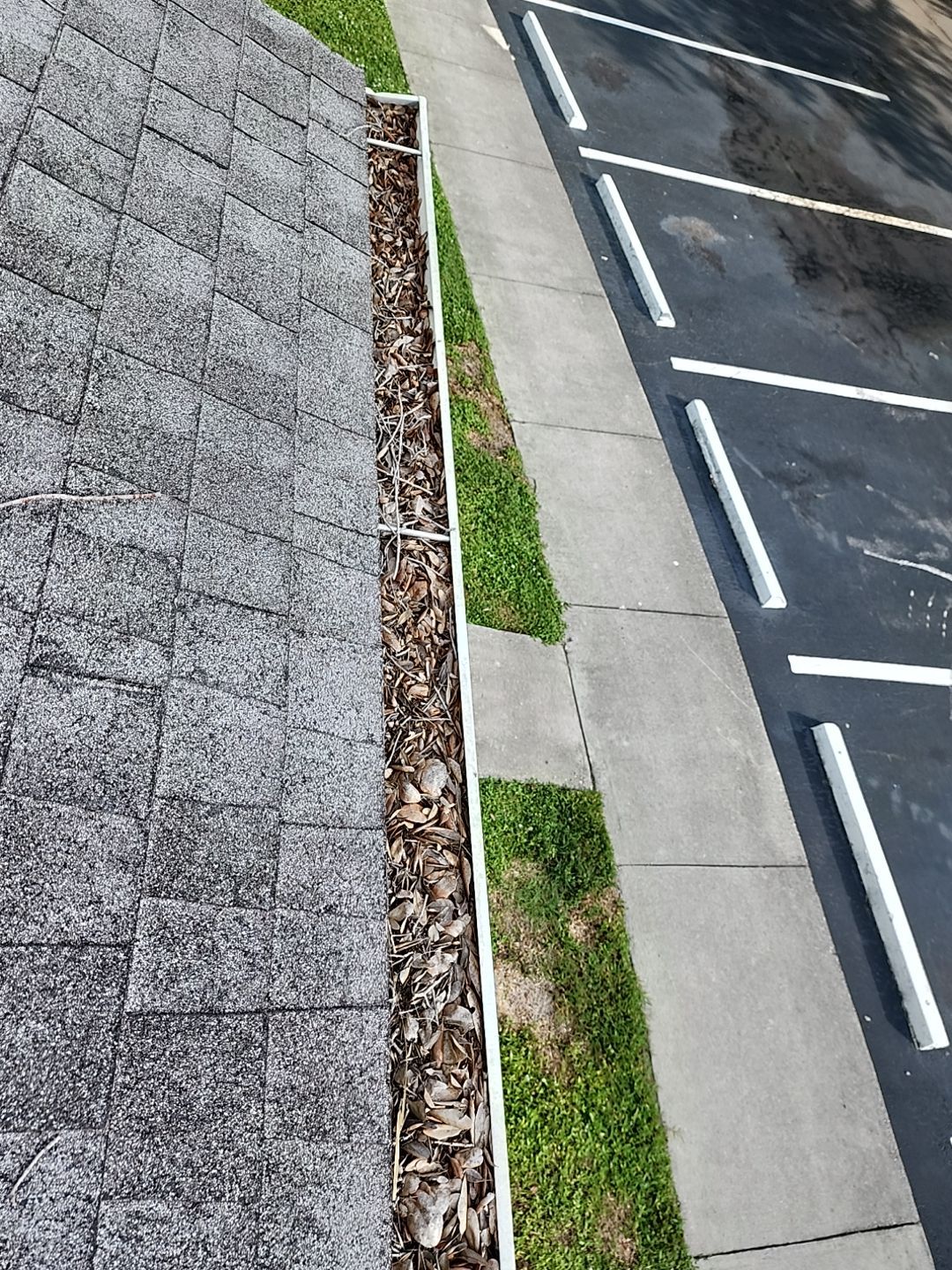 Commercial gutter cleaning Naples & Marco Island, FL	 before photo with filled gutters