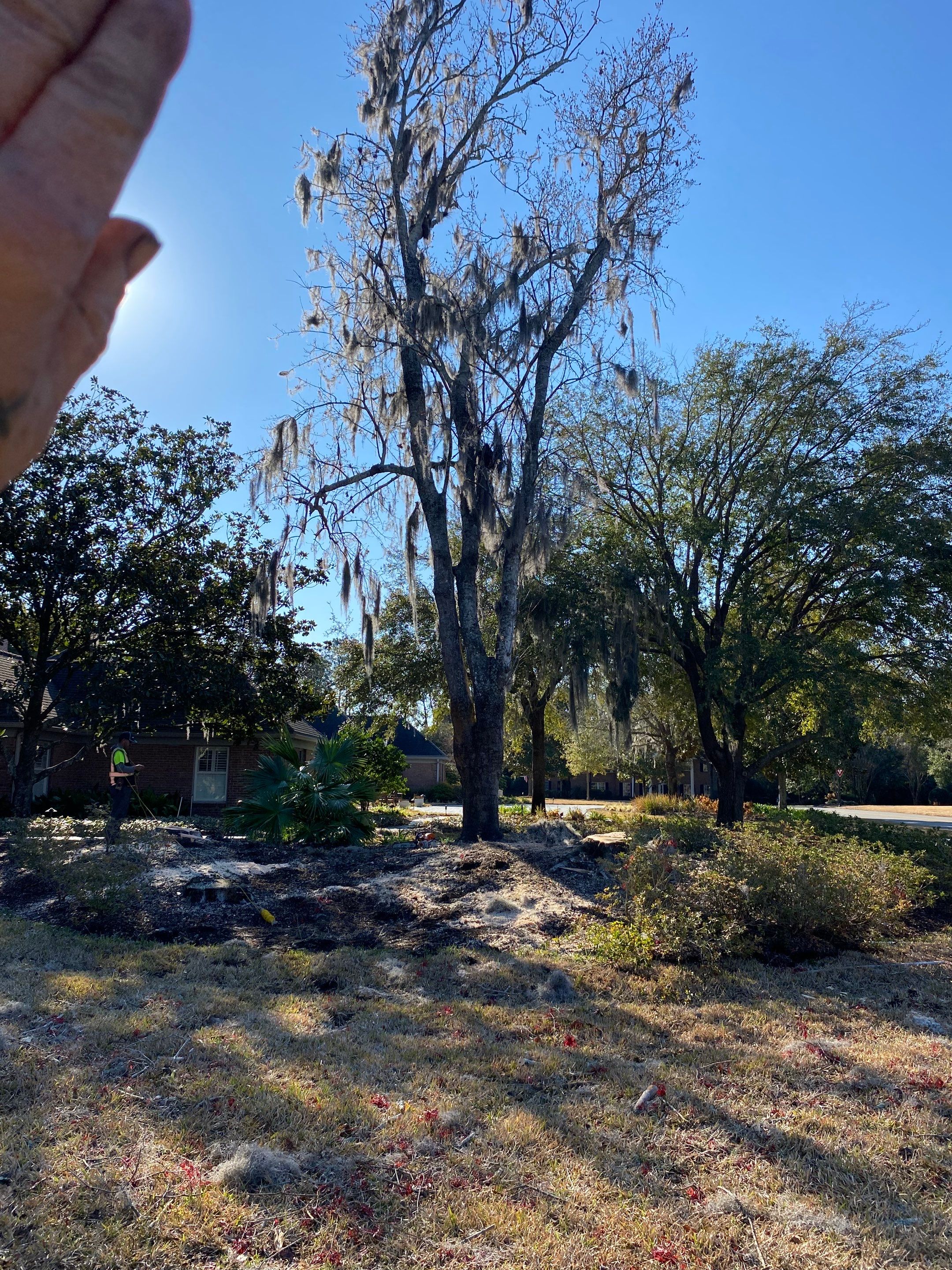 Deerwood Resident | Tree Removal & Mulch Install by ProGreen Services