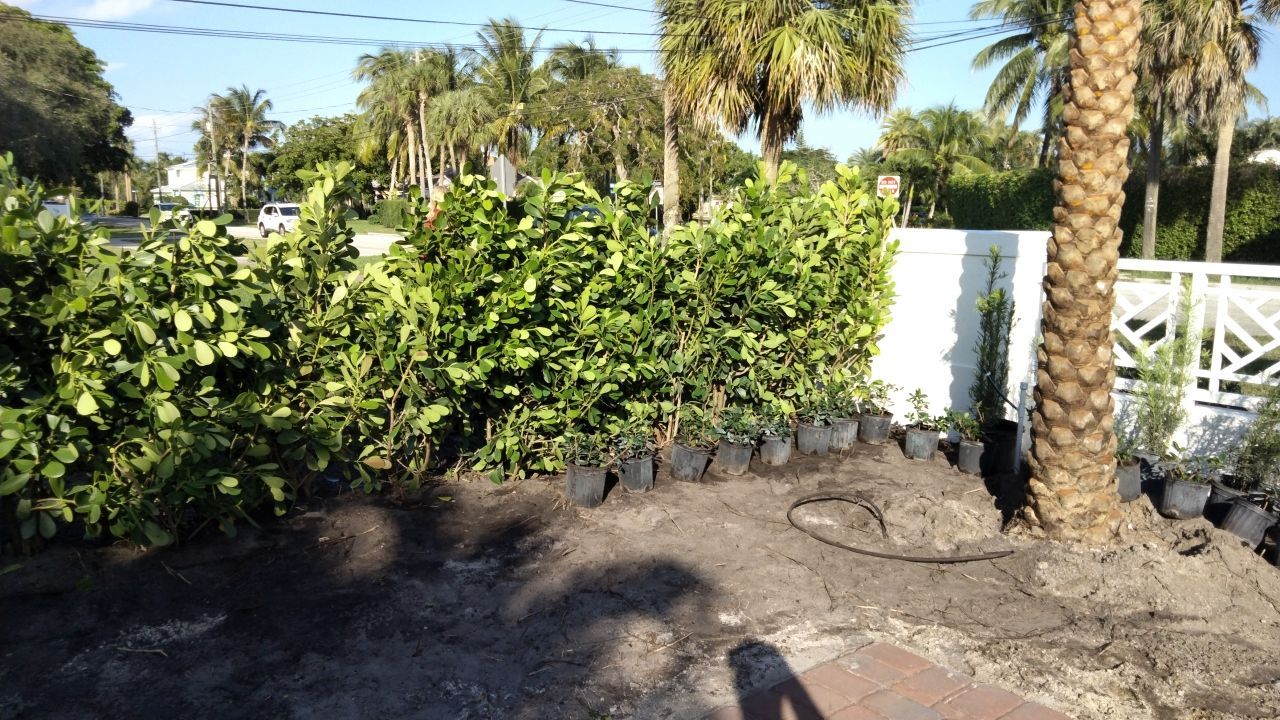 Hazard  by The Landscaping People