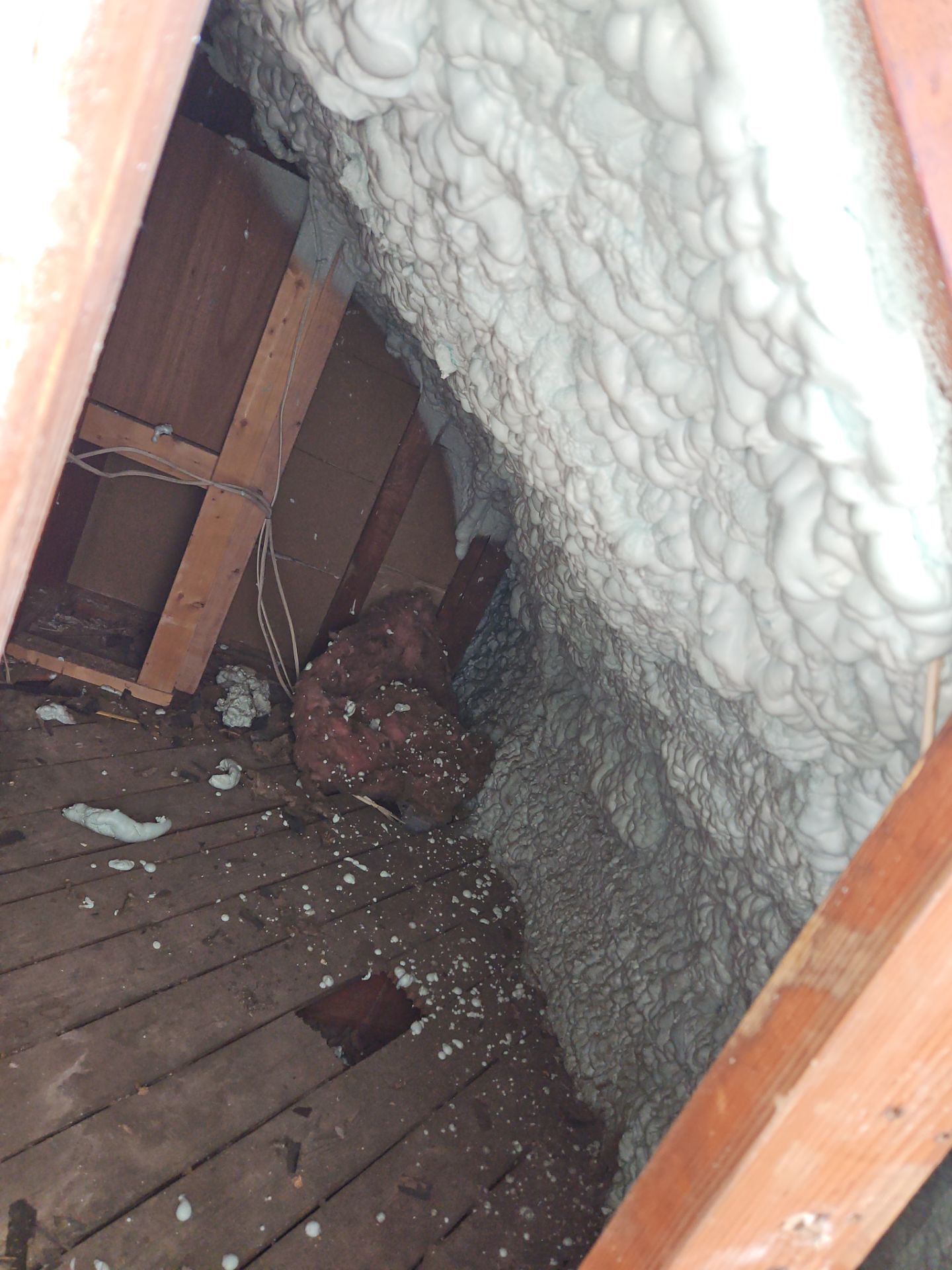 Project in Alexandria, VA by Founders Insulation