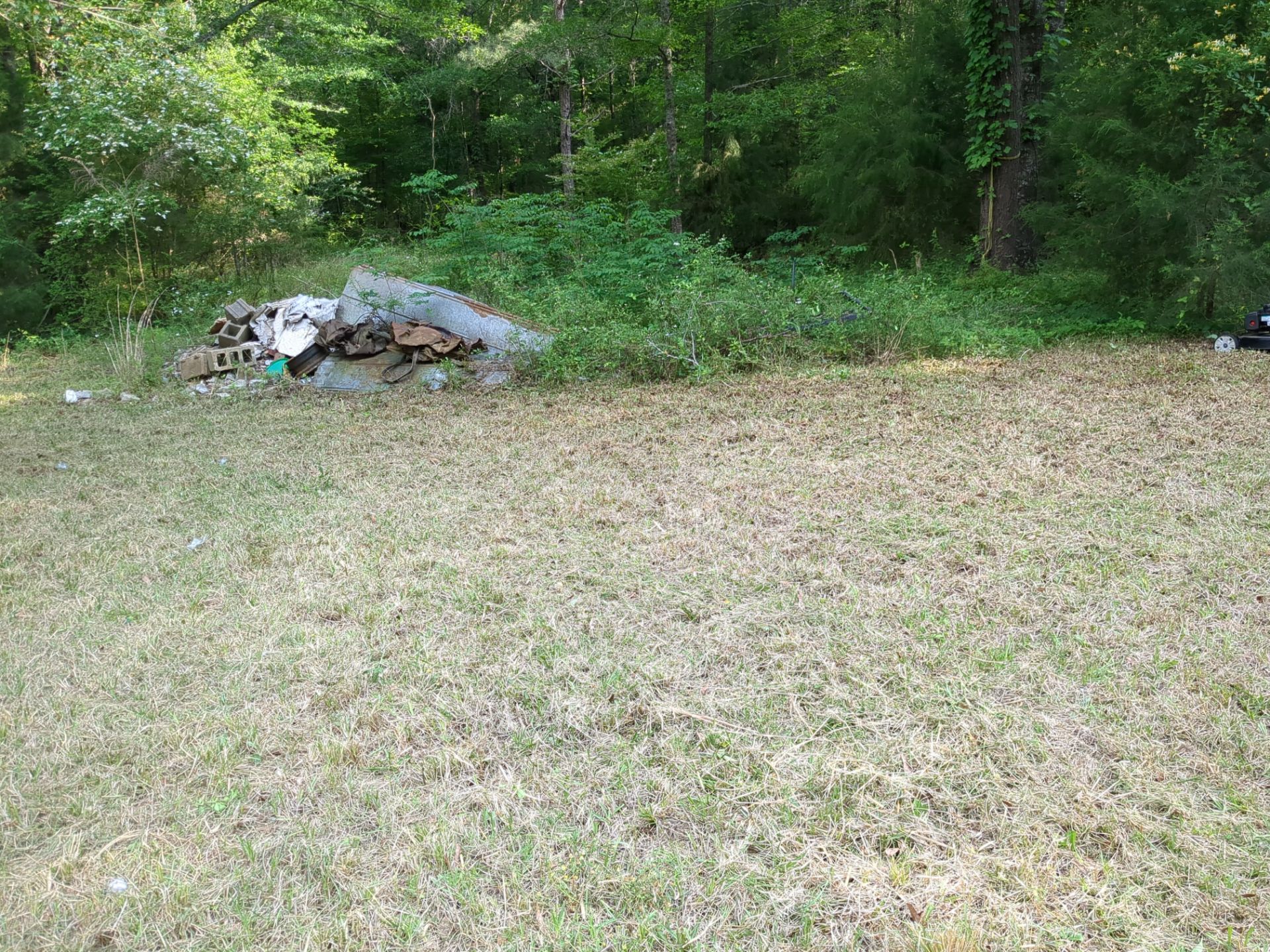 Exterior Clearing - tree trimming - grass cut by Swift Signings and Services LLC