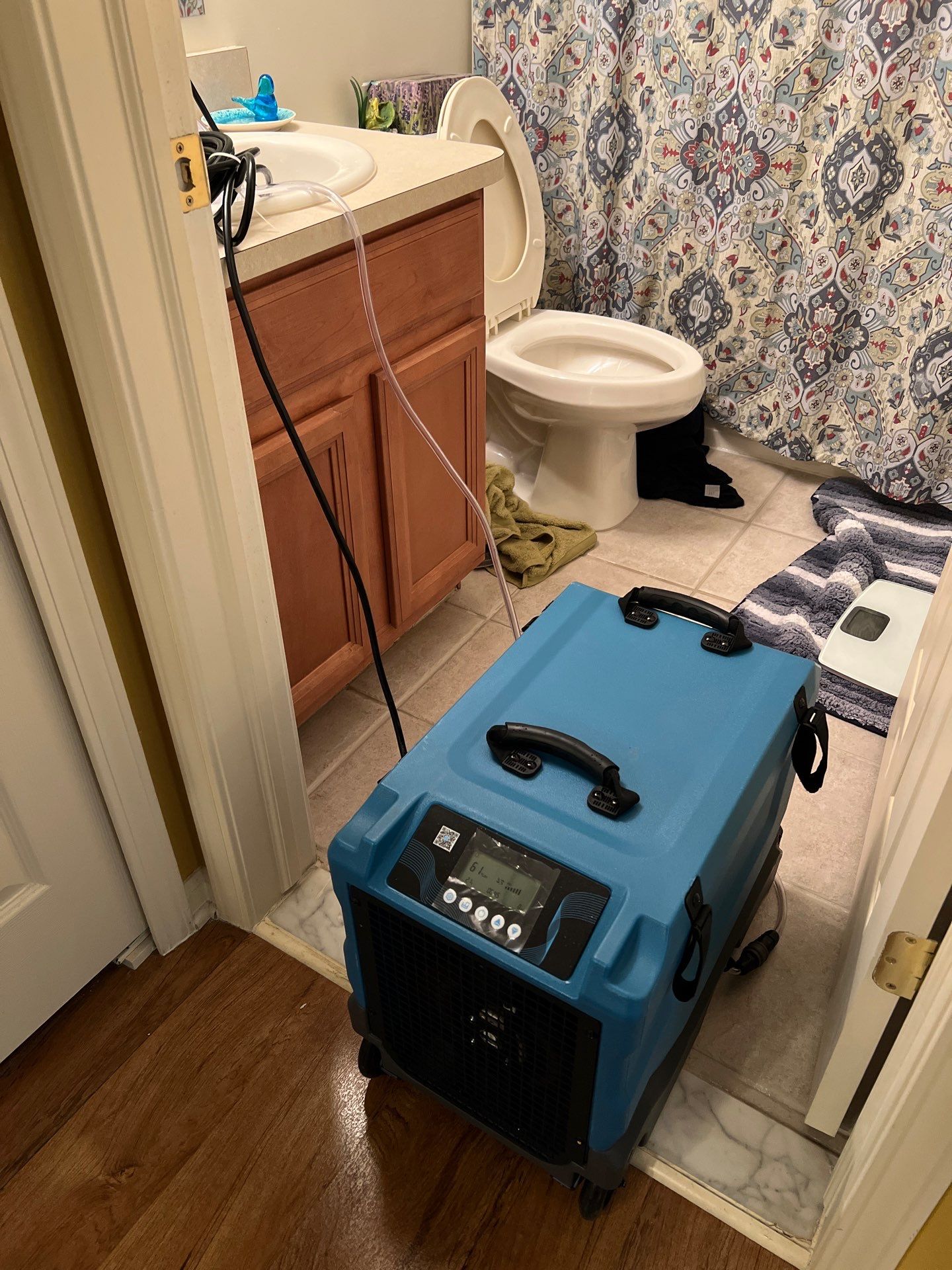 Project in Commerce Charter Twp by EzDry Water Mitigation & Property Restoration