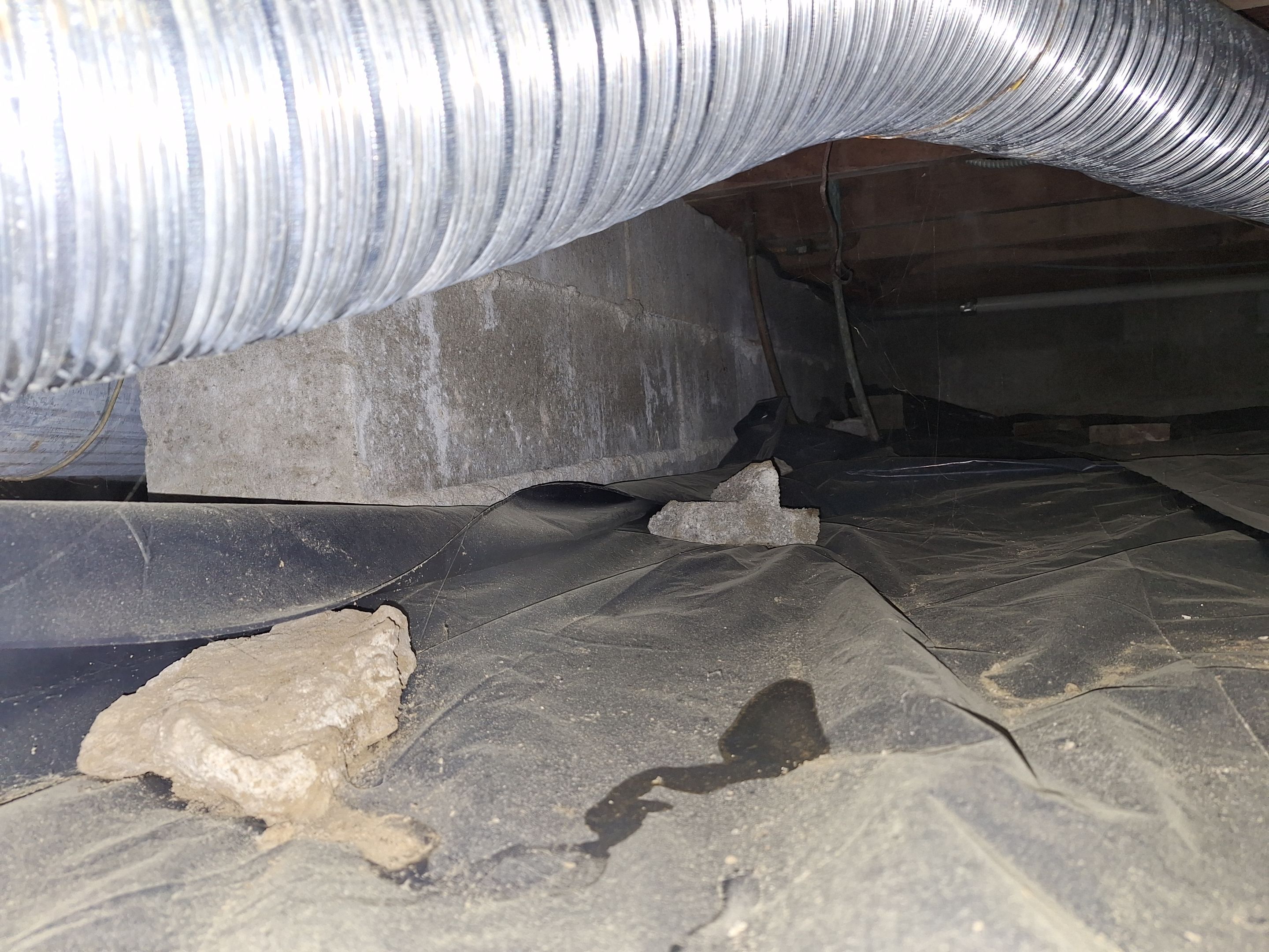 Mold Remediation in Louisville, KY  by ANR Restoration