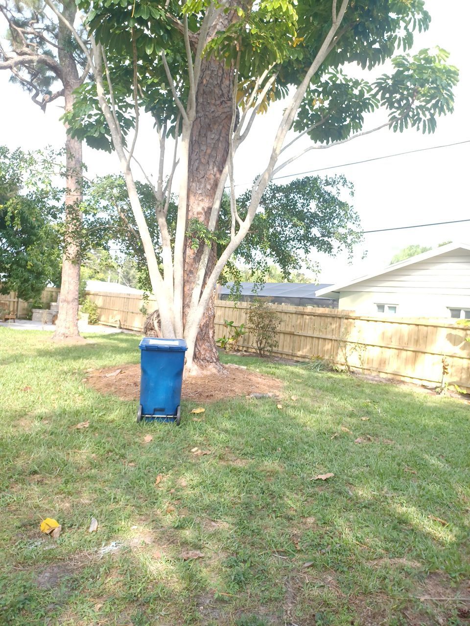 Sarasota, FL 6ft. Tall Treated Board on Board Wood Fence by Asap fence and gates, LLC
