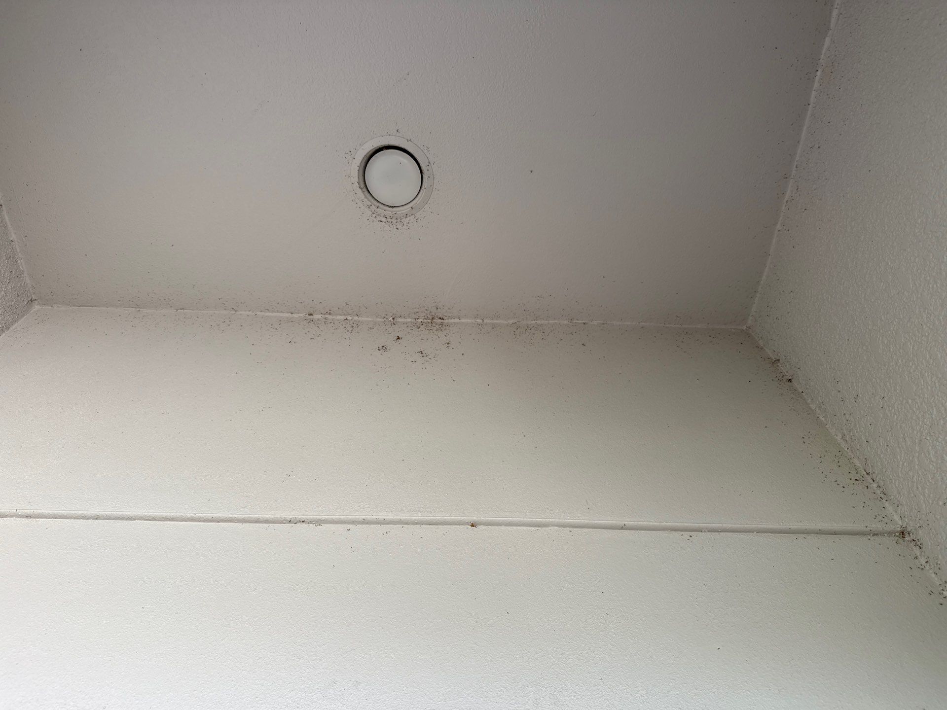 Complete House & Concrete Cleaning in Harrison Ranch Community – Parrish, FL by Sunshine AquaWash