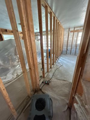 Mold Damage Restoration Siesta Key FL