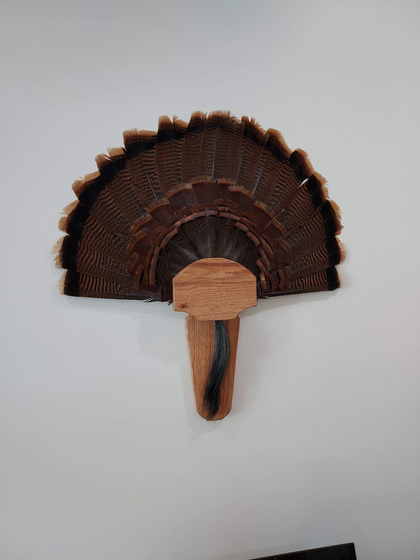 Art & Mirror Hanging Projects by Hangman Mounting & Installation 