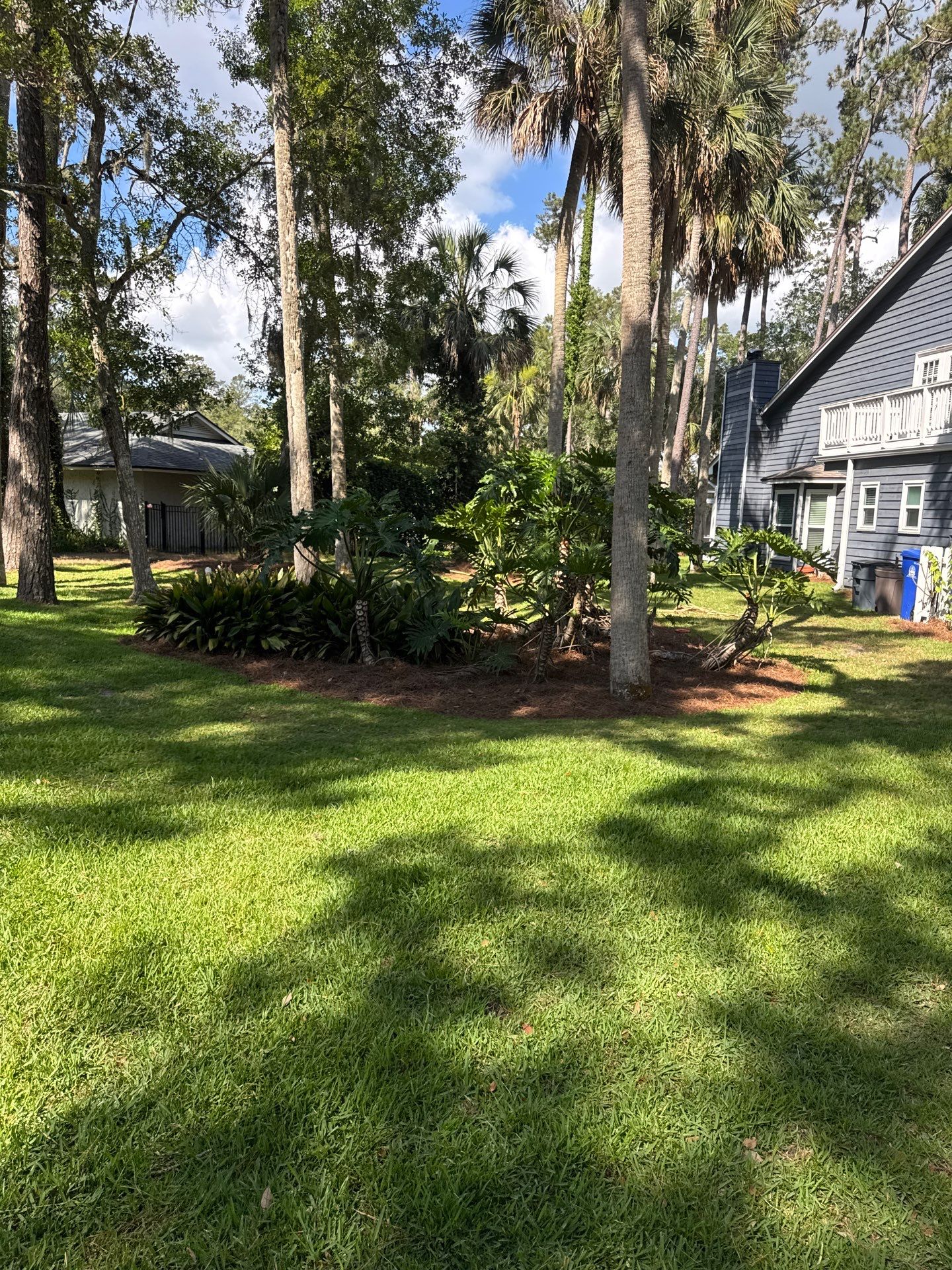 Residential | Pine Straw Install by ProGreen Services