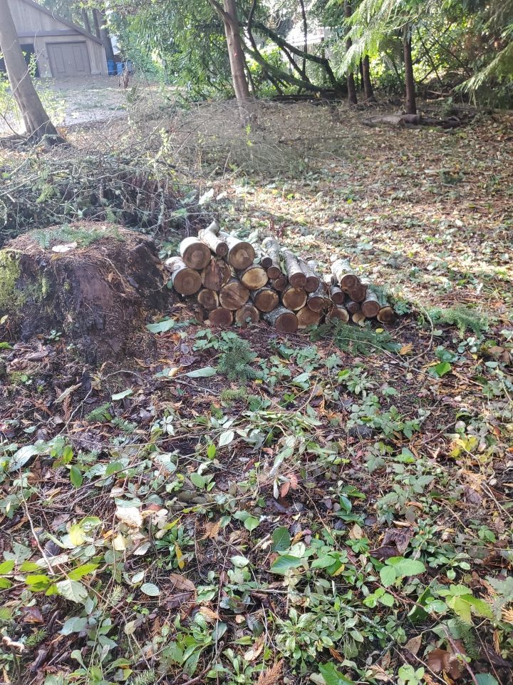 Tree Removal using Tree Removal by Mike Jones & Sons Tree Service LLC 