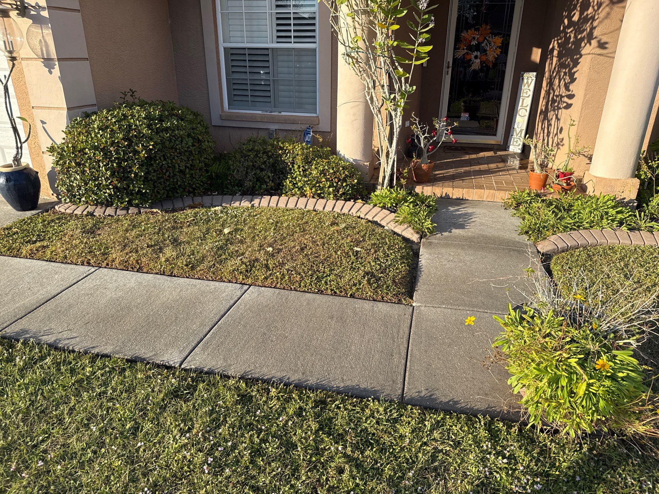 Driveway, Sidewalk, Street Curbing & Pool Screen Enclosure Cleaning in Regency Oaks, Palmetto, FL | Sunshine AquaWash by Sunshine AquaWash