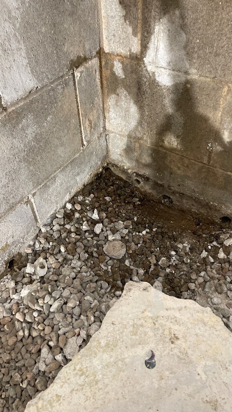 Retrofitting Drainage Board in Lino Lakes by Waterproofing Northeast