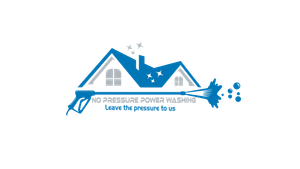 Logo for No Pressure Power Washing