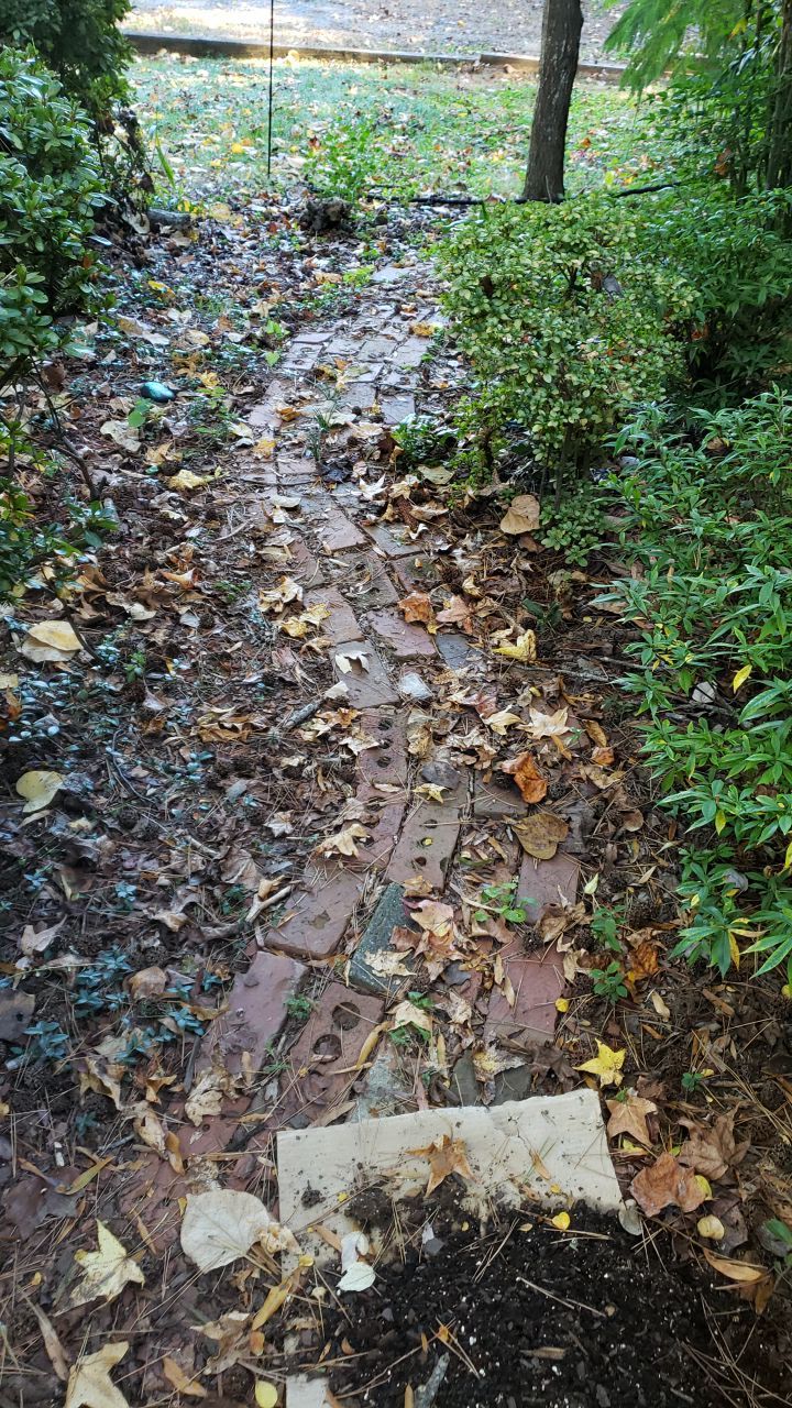 House Wash using cleaner by Power Wash Masters LLC