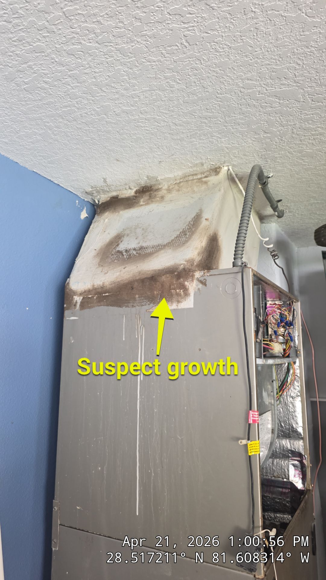 Air Duct Cleaning in Winter Garden by Hygienic Air, Inc