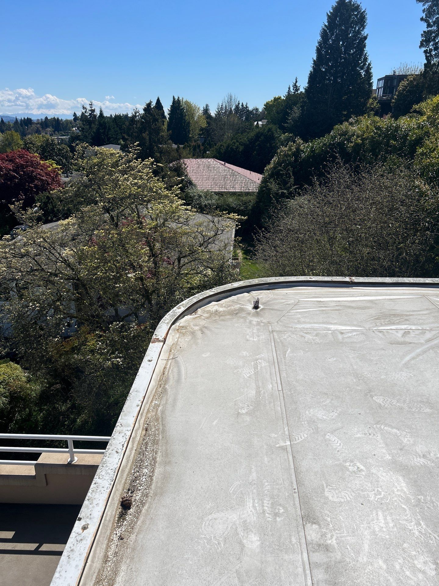 Project in Seattle by Peaks and Valleys Construction