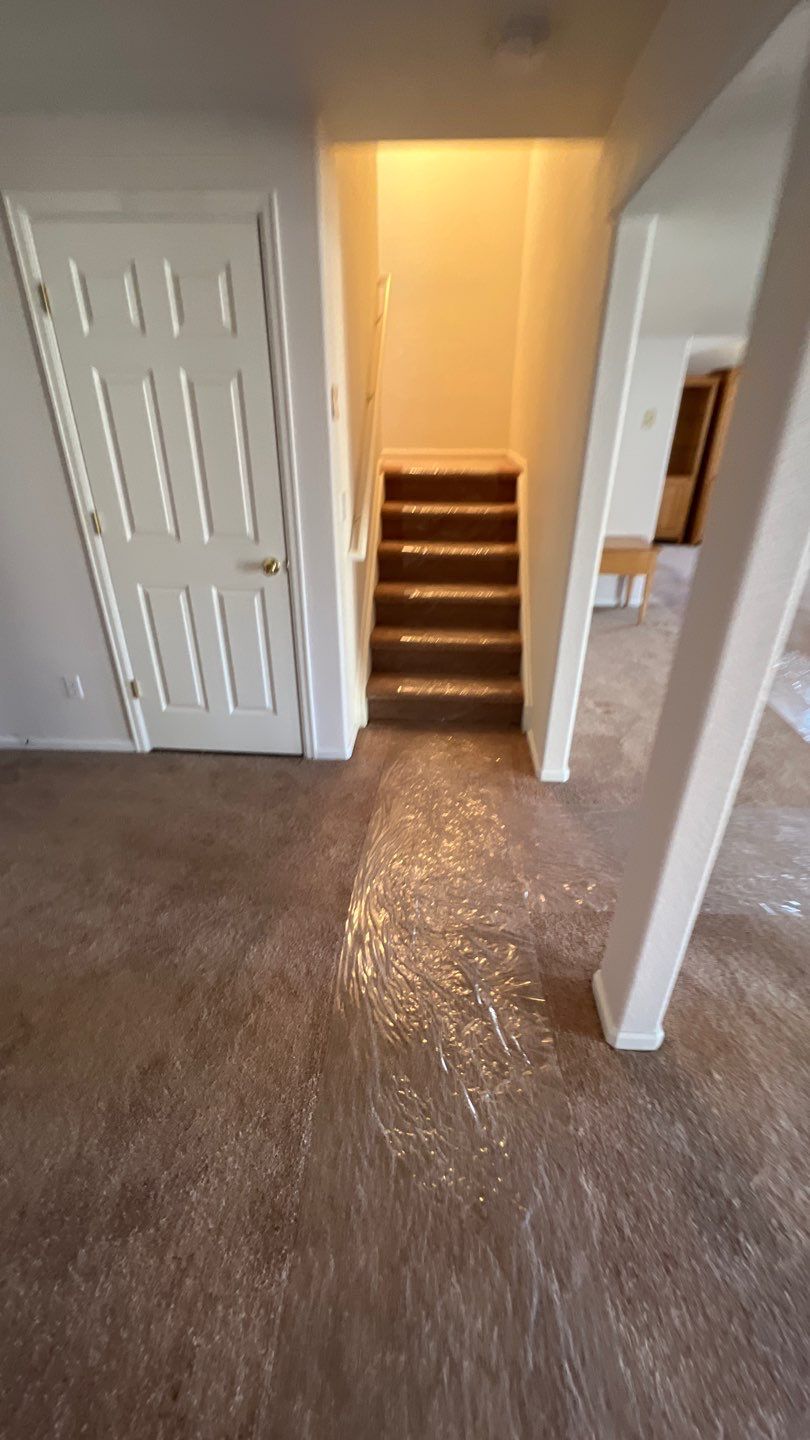 Mold Damage by Accountable Home Services