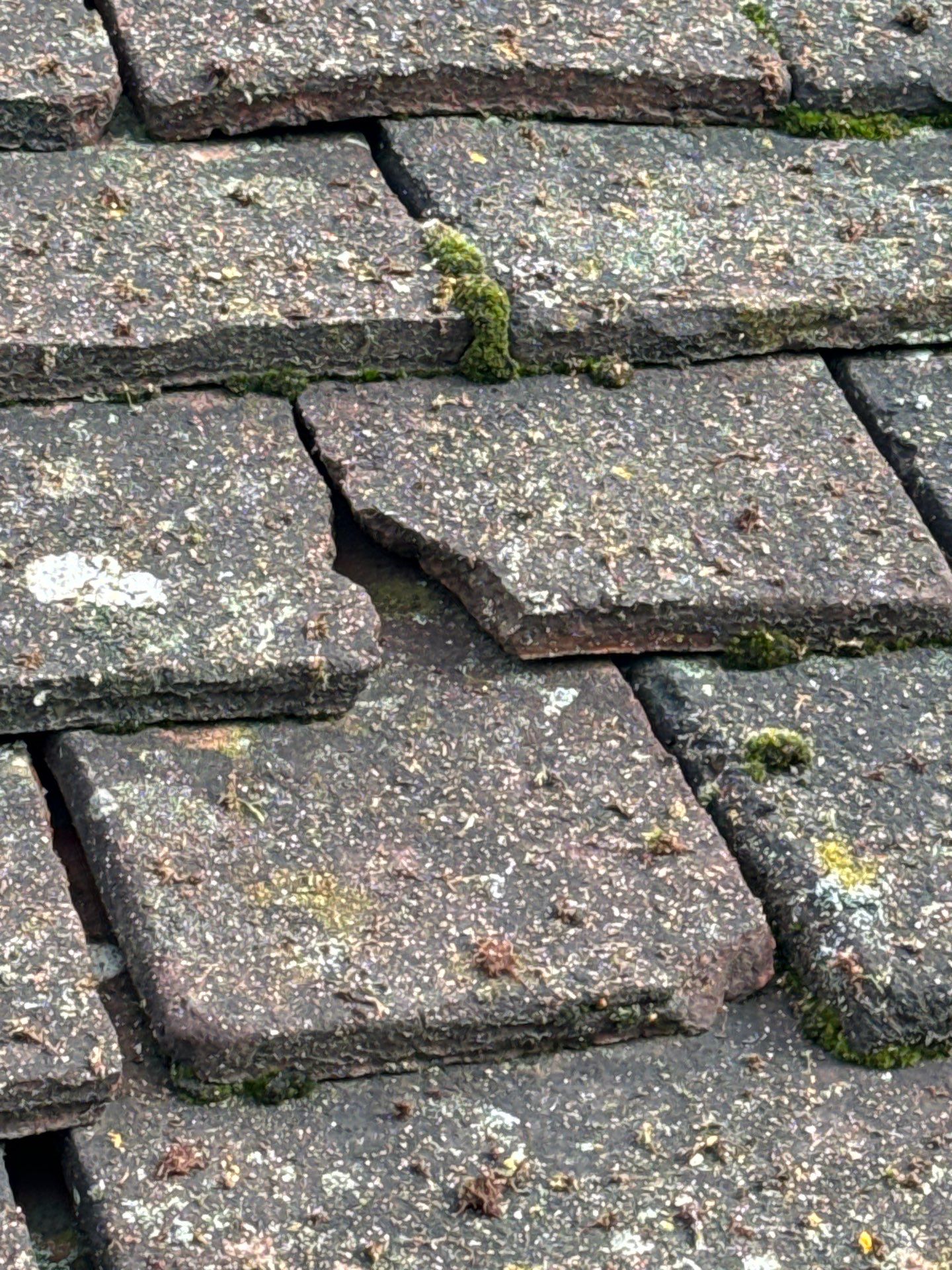 Exterior Clean - Roof - Patio - Driveway using Mosmatic FSC and Biocide by Ges Exterior Cleaning ltd