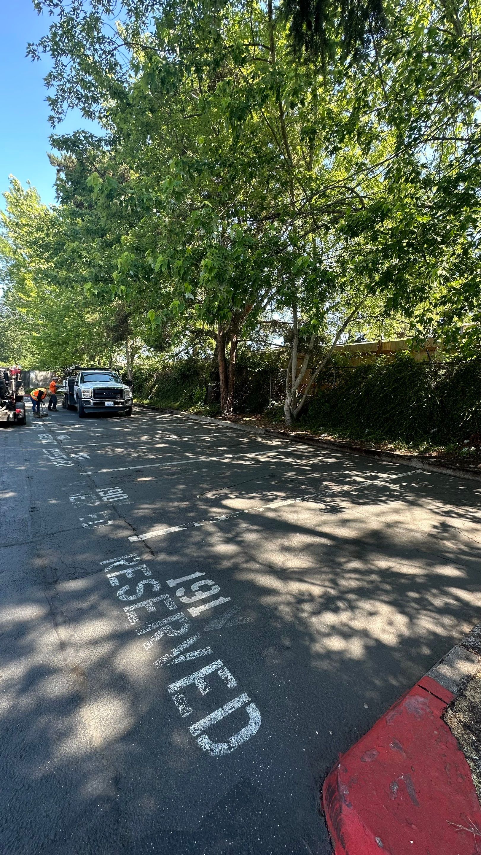 Chaz | Driveway Repave, Asphalt Project  by Jireh Asphalt & Concrete Inc 