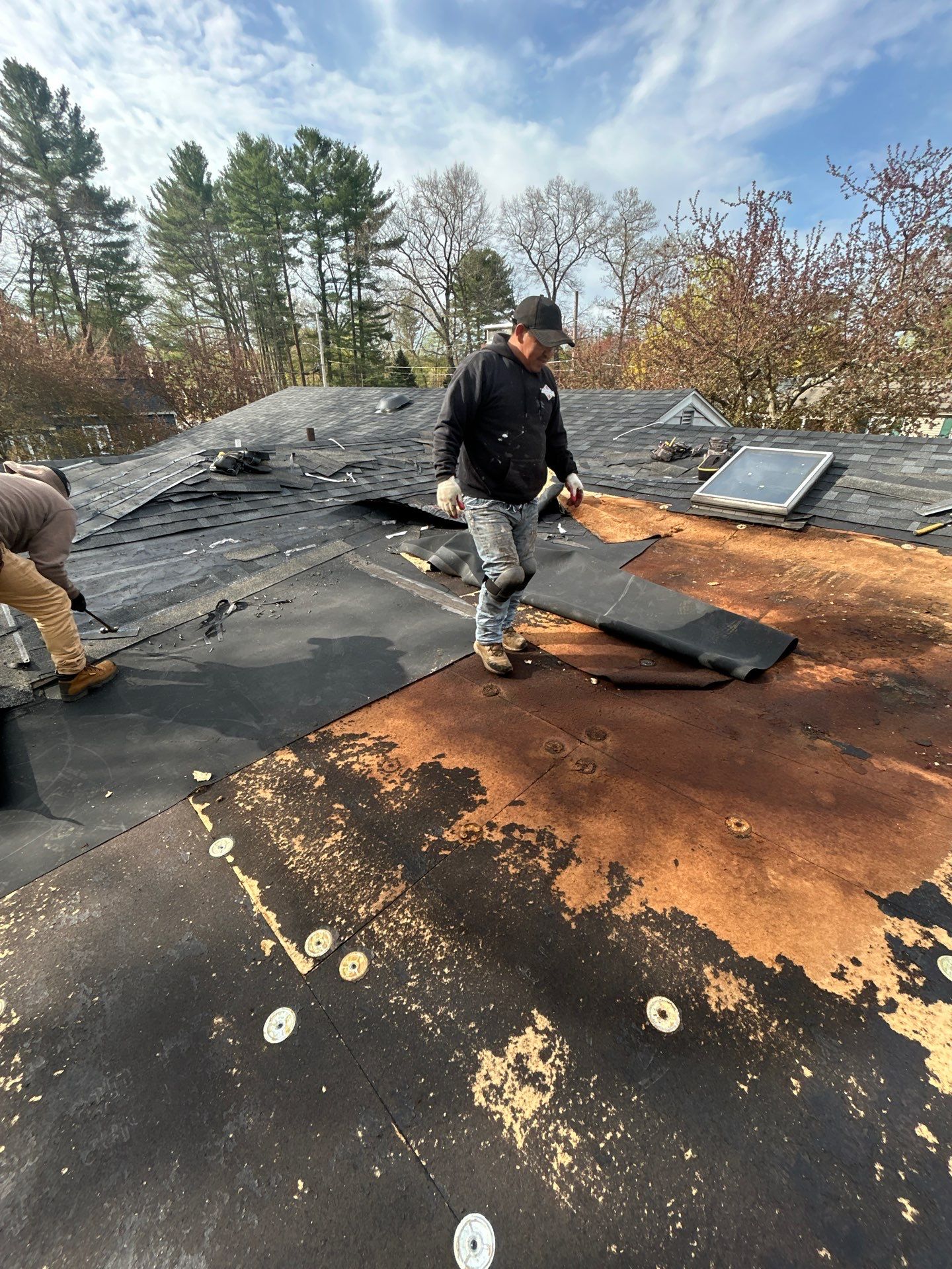 Flat Roofing & Skylights | Westford by Mighty Dog Roofing of Greater Middlesex County