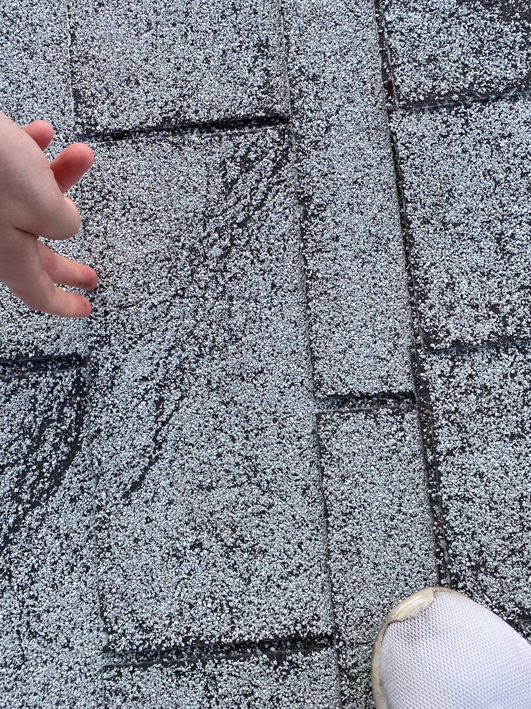 James Full Re-Roof + Shed by All Storm Roofing & Construction
