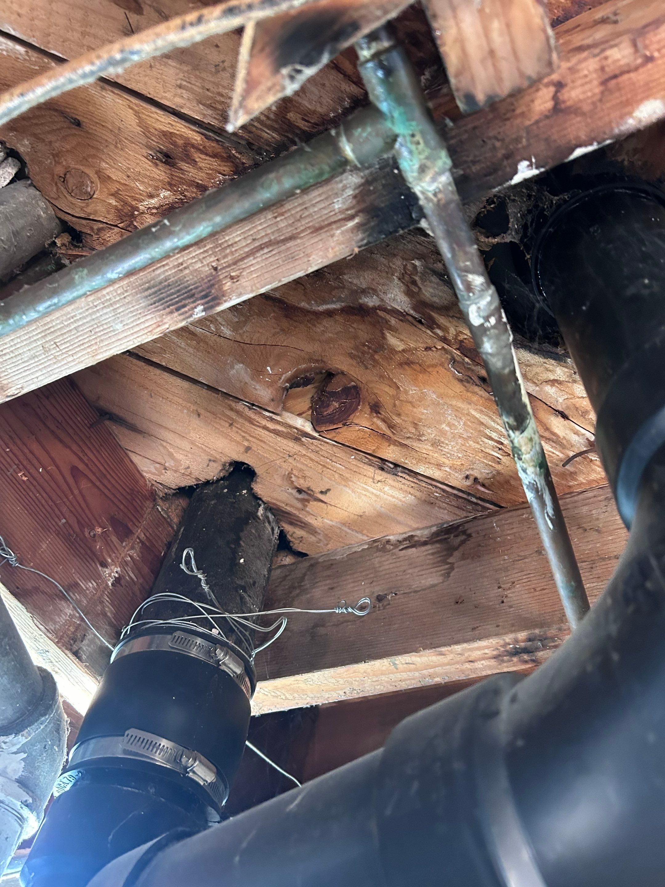 Mold Damage Restoration by Accountable Home Services