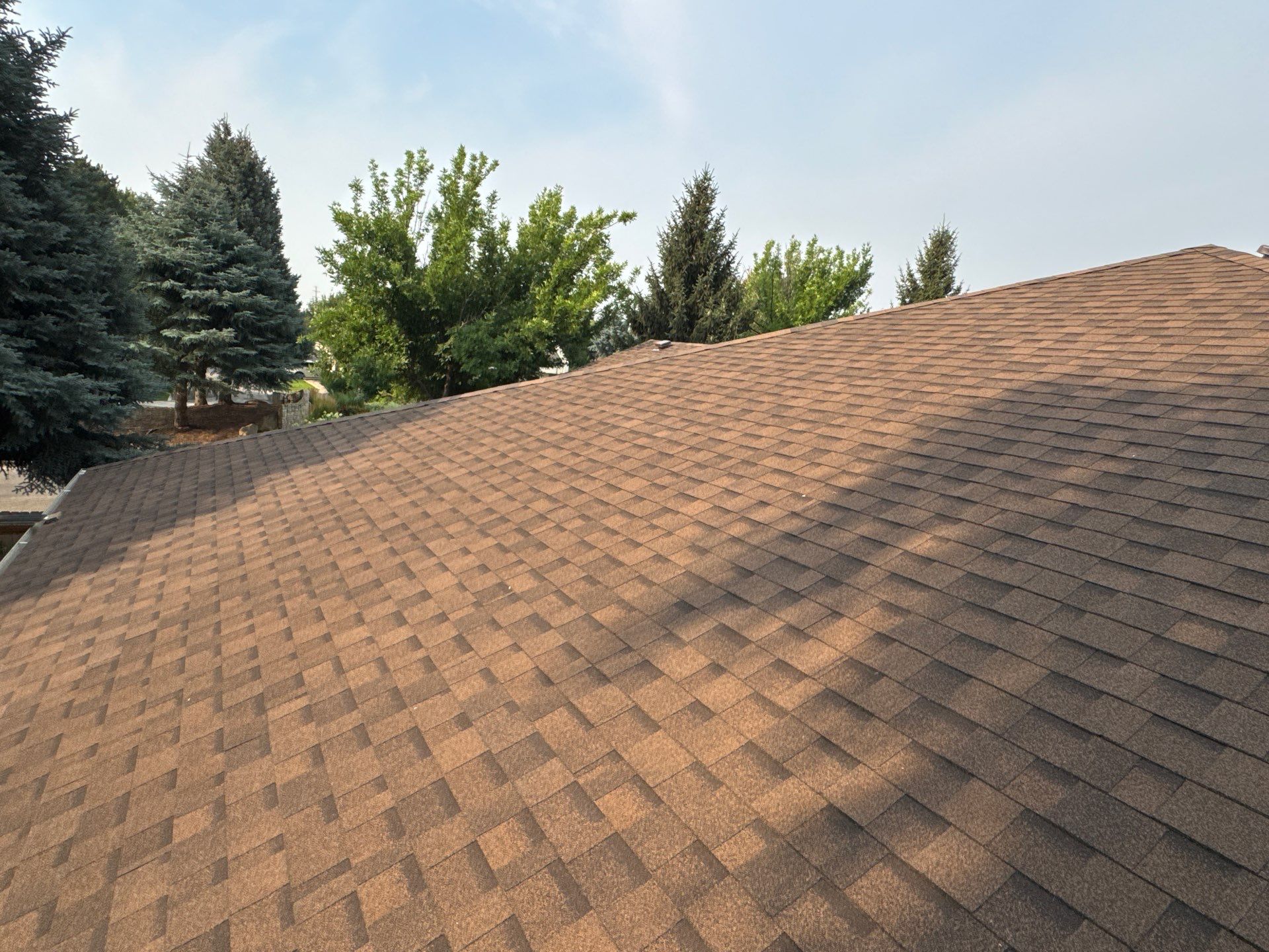 Boise Commercial Roof Replacement with Brown Architectural Shingles by Olive Roofing