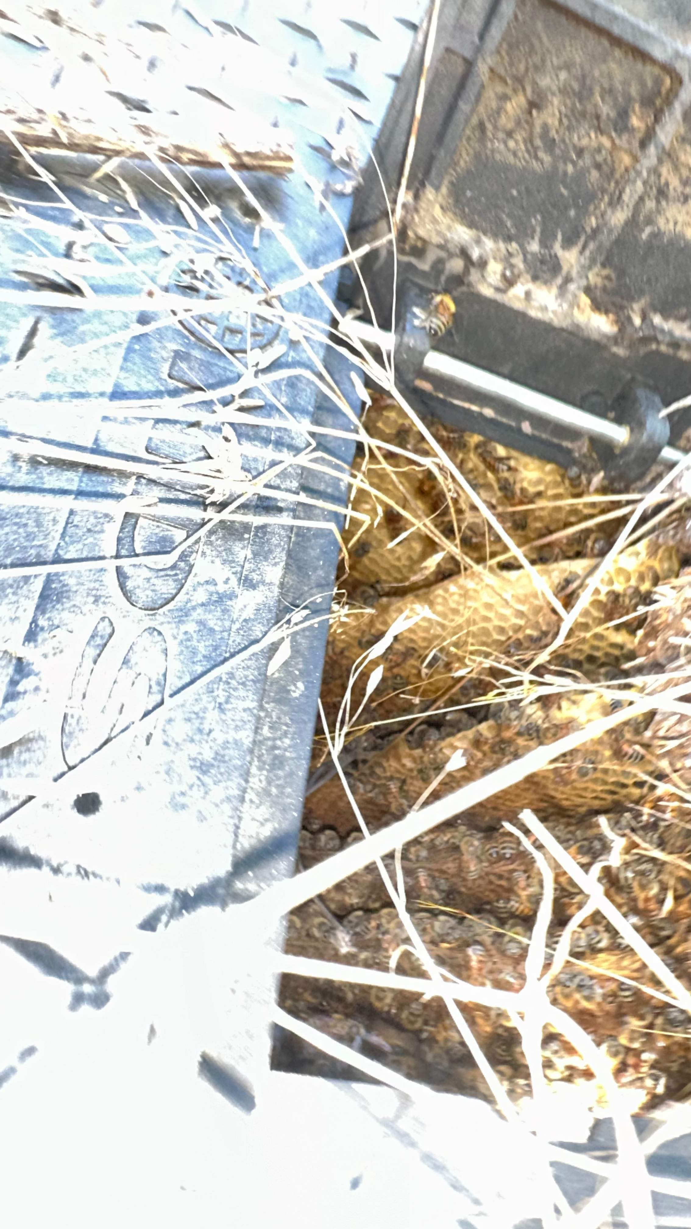 Well Meter by Rockwall Honey Bee Company