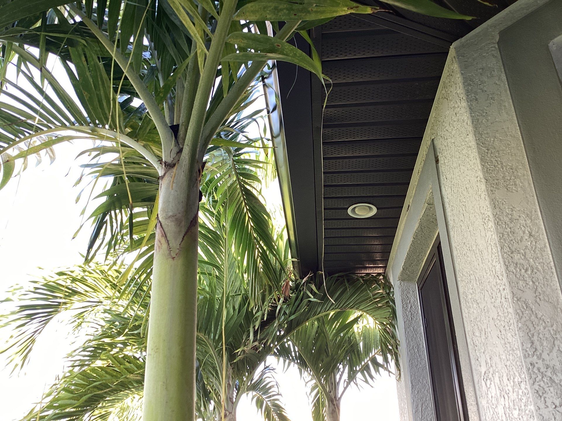 Black Seamless Gutters using 6 Inch Seamless Gutters in Cape Coral FL by Gutter Professors