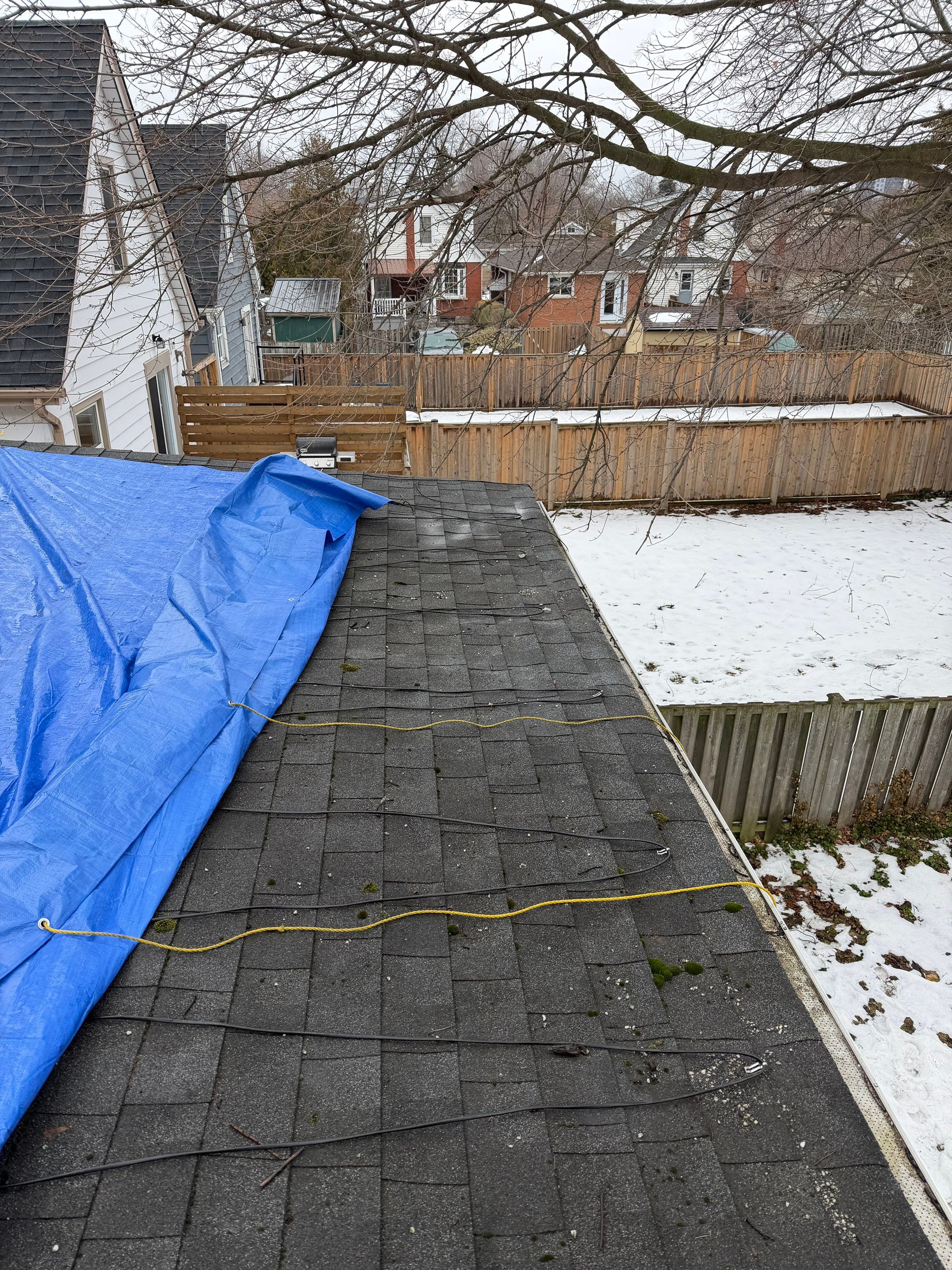 Project in Hamilton