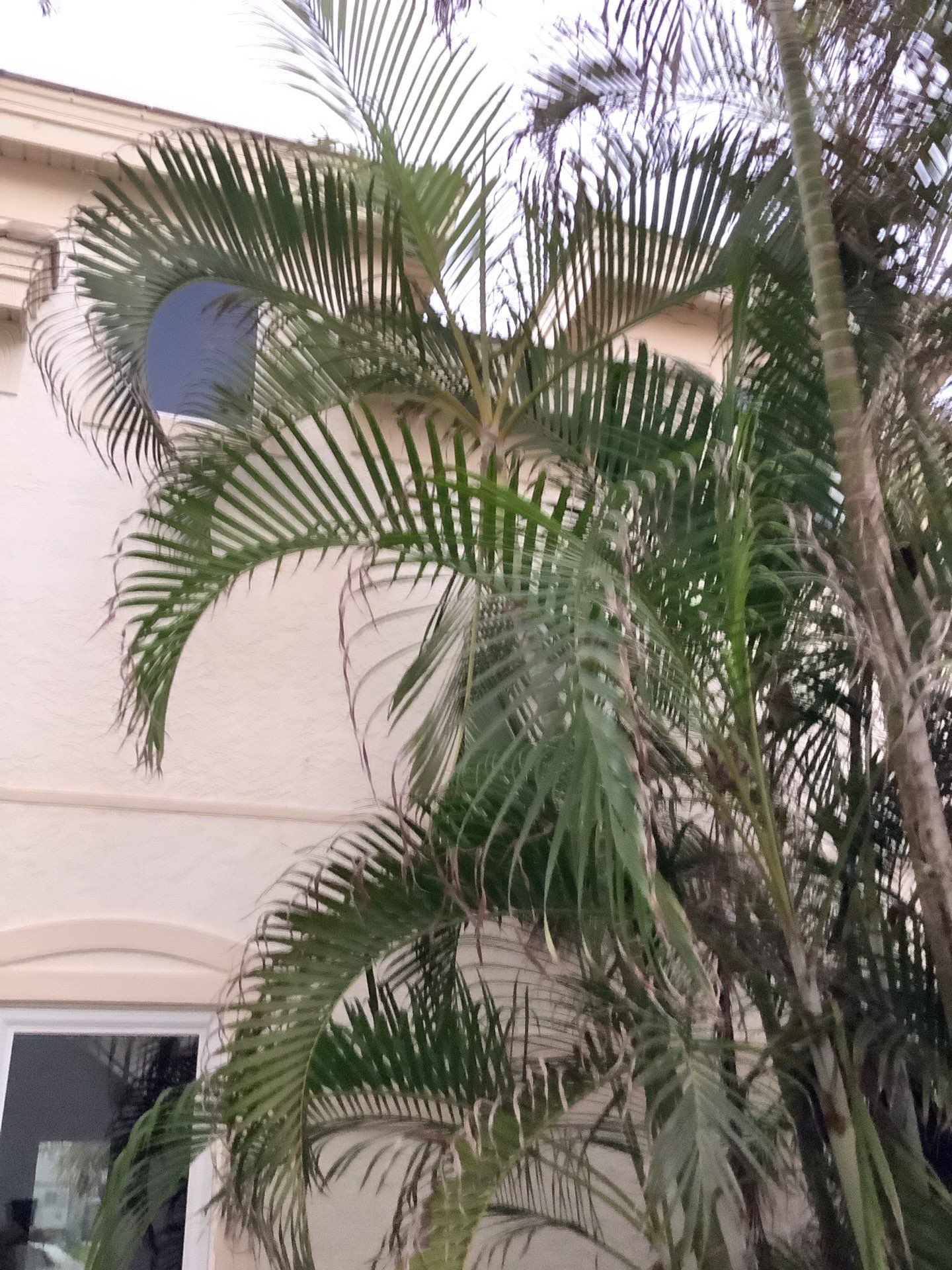 Gutter Repair and Replacement in Sanibel FL by Gutter Professors