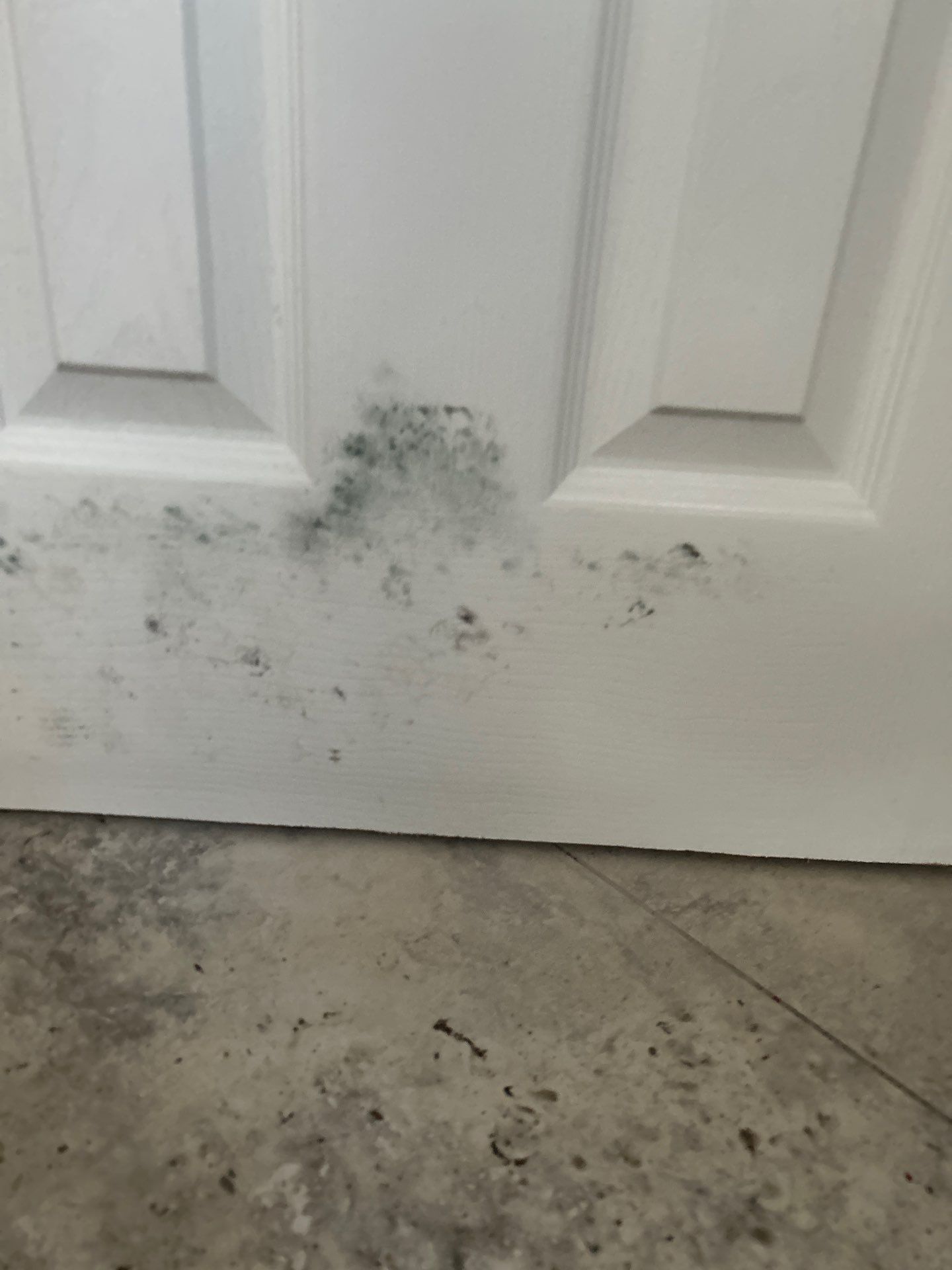 Storm Water Damage Sarasota by Ampm Restoration Services