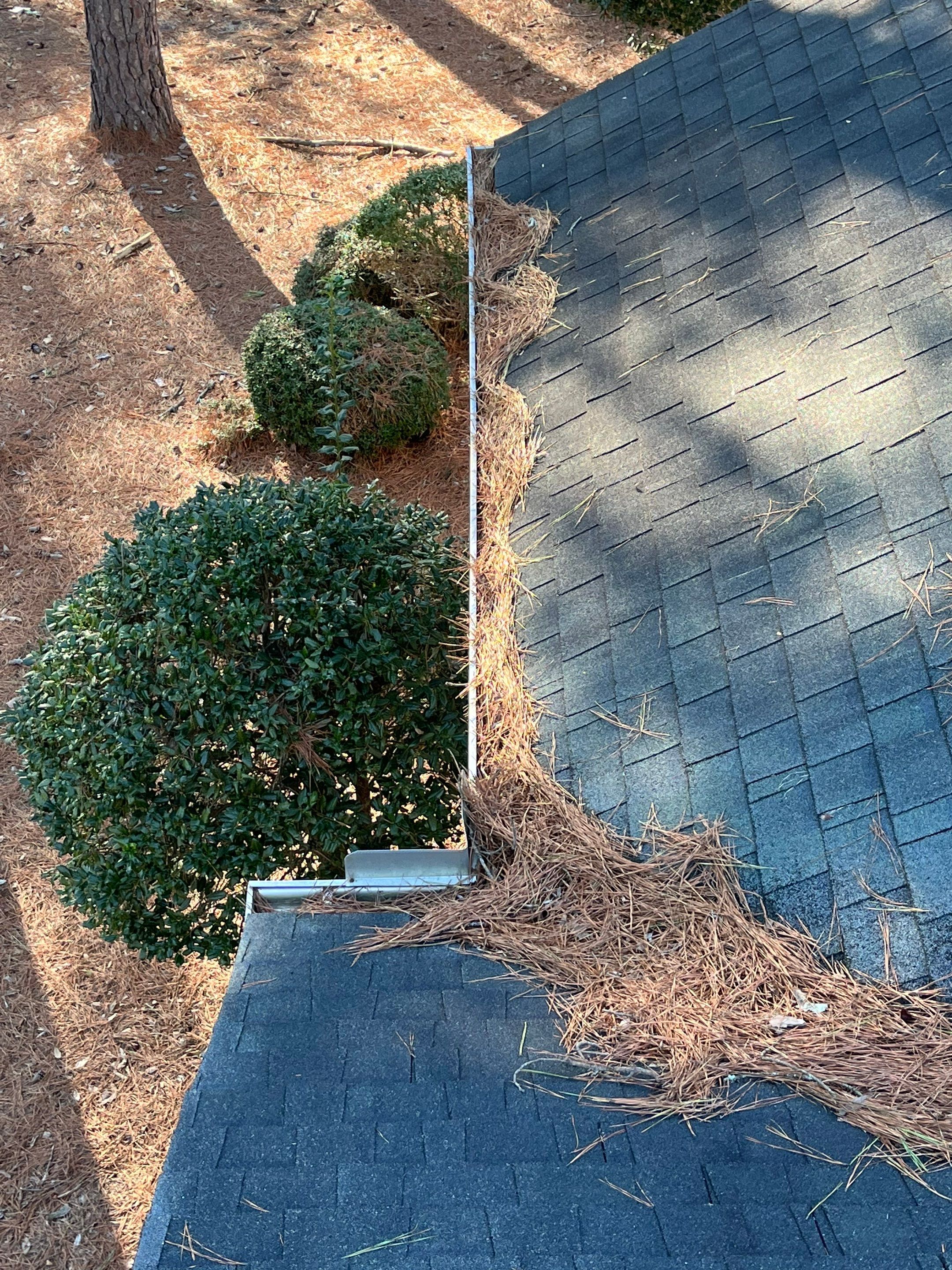 Commercial gutter cleaning Pinehurst & Southern Pines, NC before photo with filled gutters
