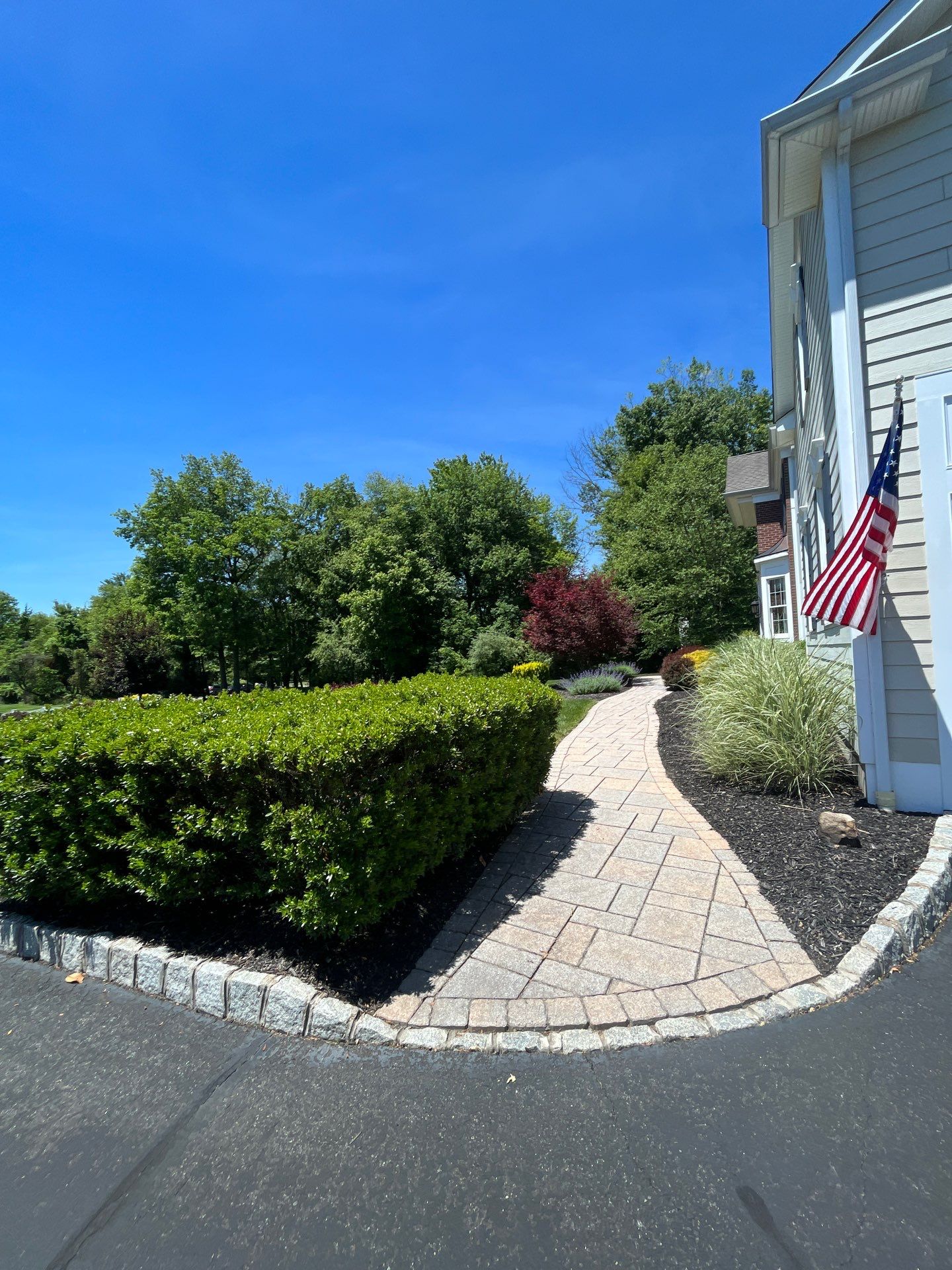 Lawn Care and Shrub Care at a beautiful Bridgewater property by Ants Plants