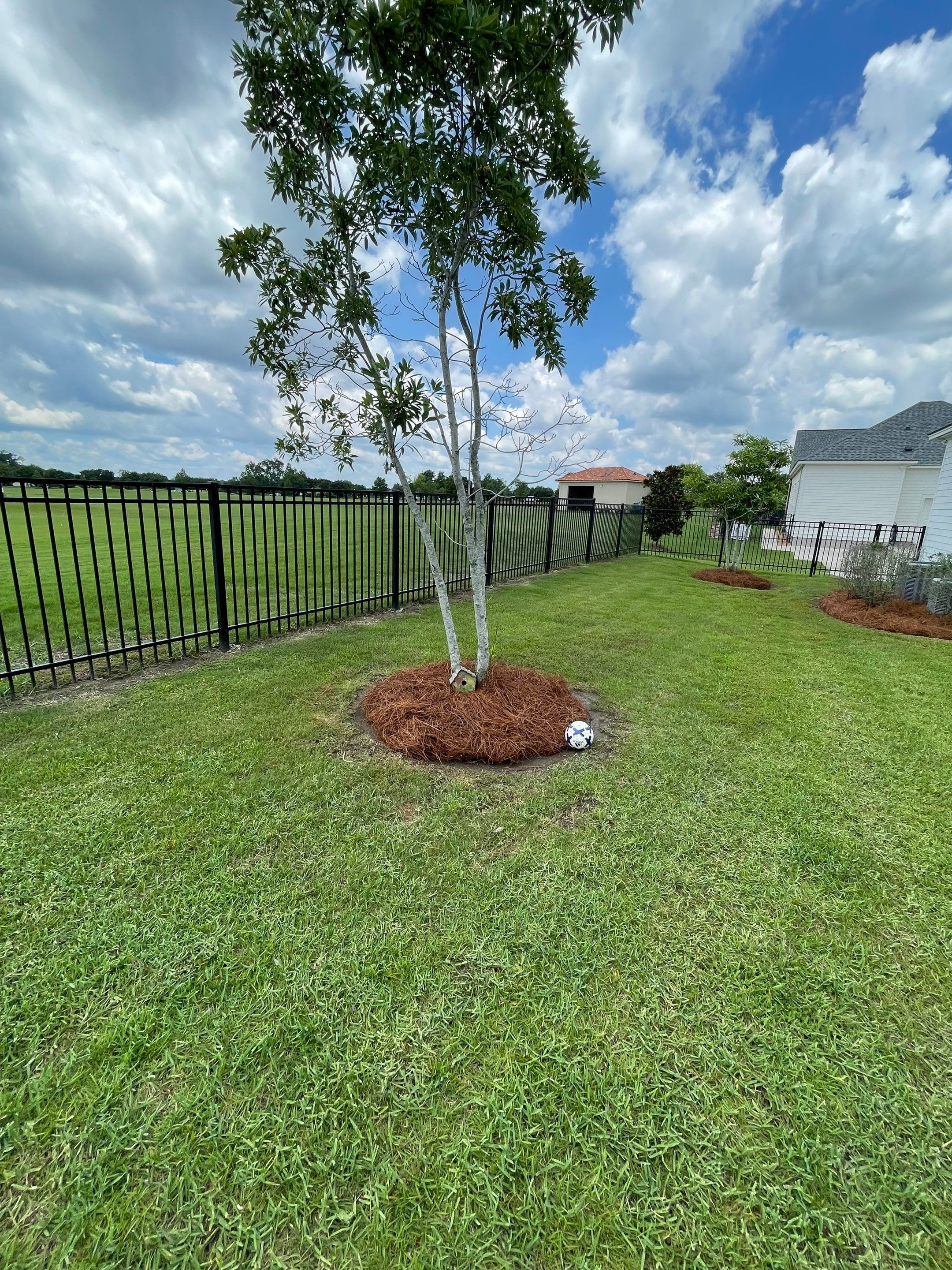 LANDSCAPE SERVICES: LANDSCAPE CLEANUP by CutScape, LLC.