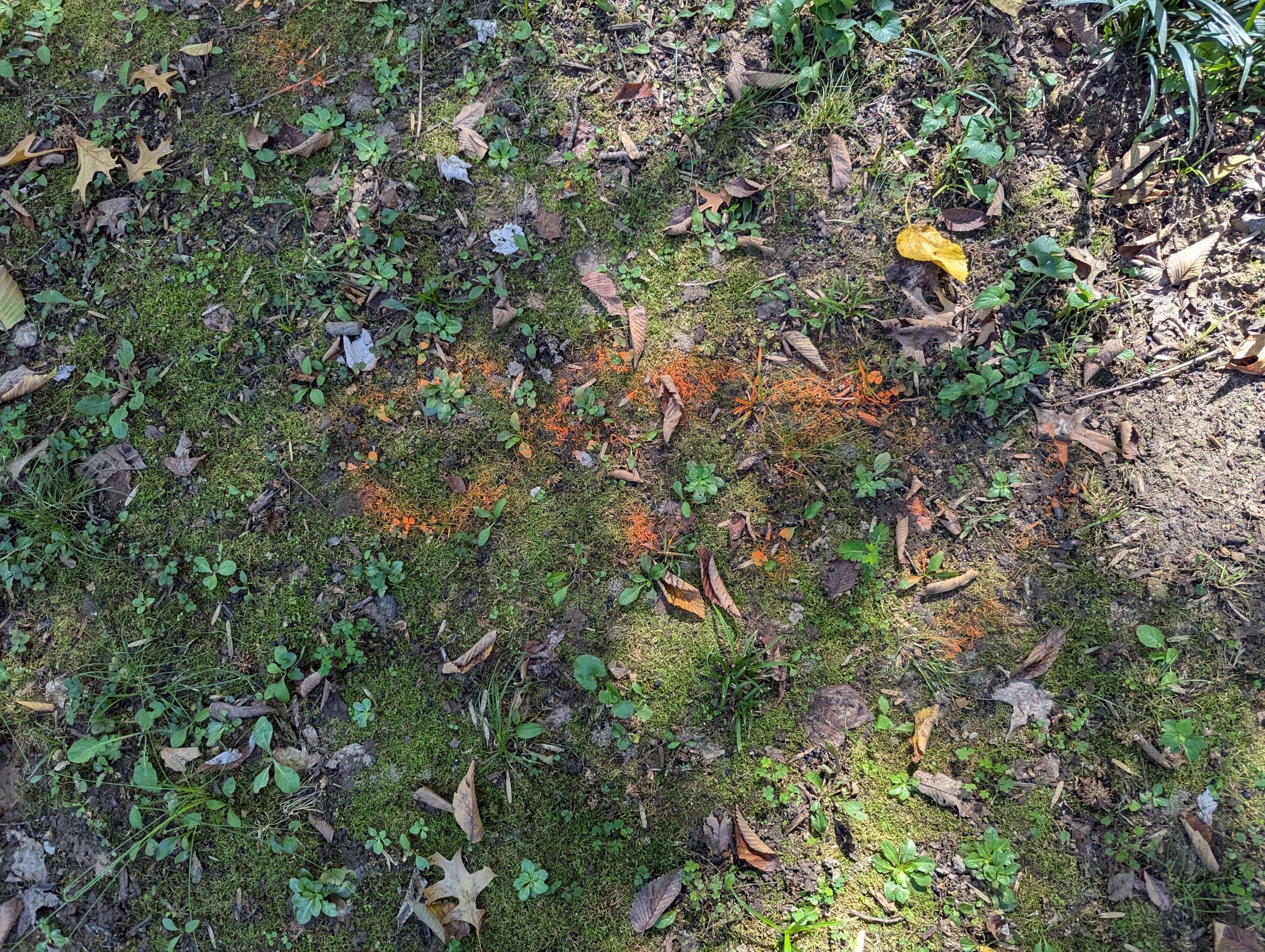 Utility Locating Services / GPR Request by Alsip Locating Service, LLC