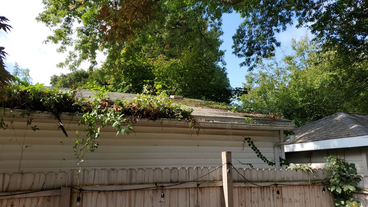 Tree Trimming using Tree Pruing by Mike Jones & Sons Tree Service LLC 