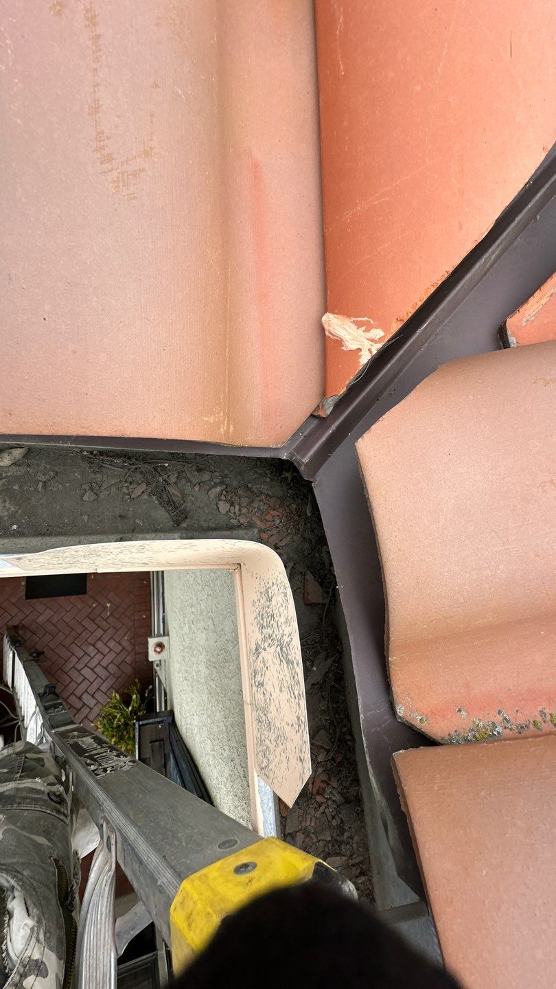 Mission Viejo Gutter Cleaning by Property Cleaning Experts