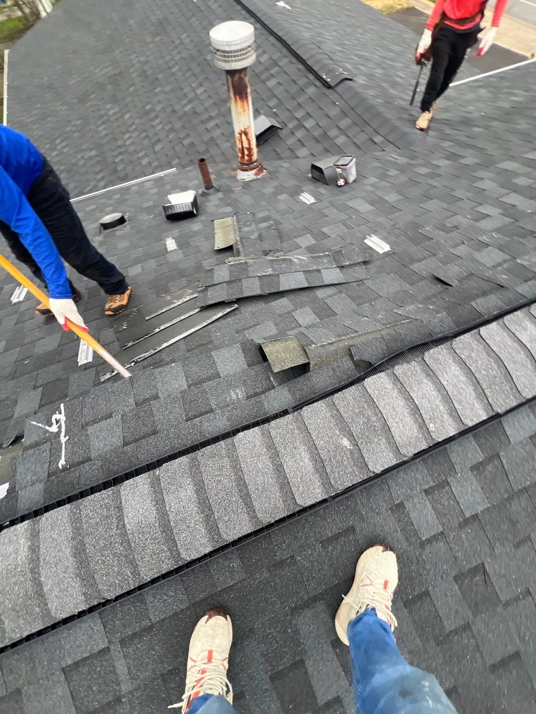Estate Gray Shingles by Reimagine Roofing