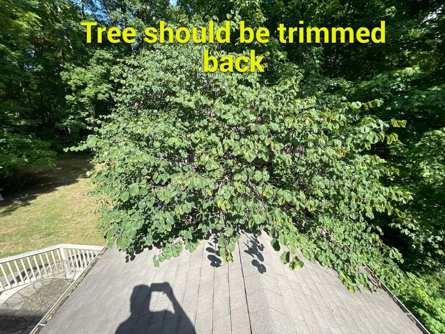 Seabreeze Roof Replacement, Exterior Siding and trim repairs and paint by 317 Roofing & Restorations