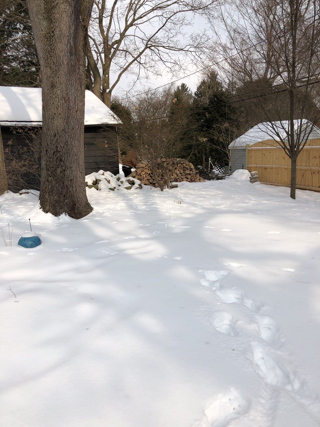 Firewood Delivery  using Seasoned Firewood by Mike Jones & Sons Tree Service LLC 