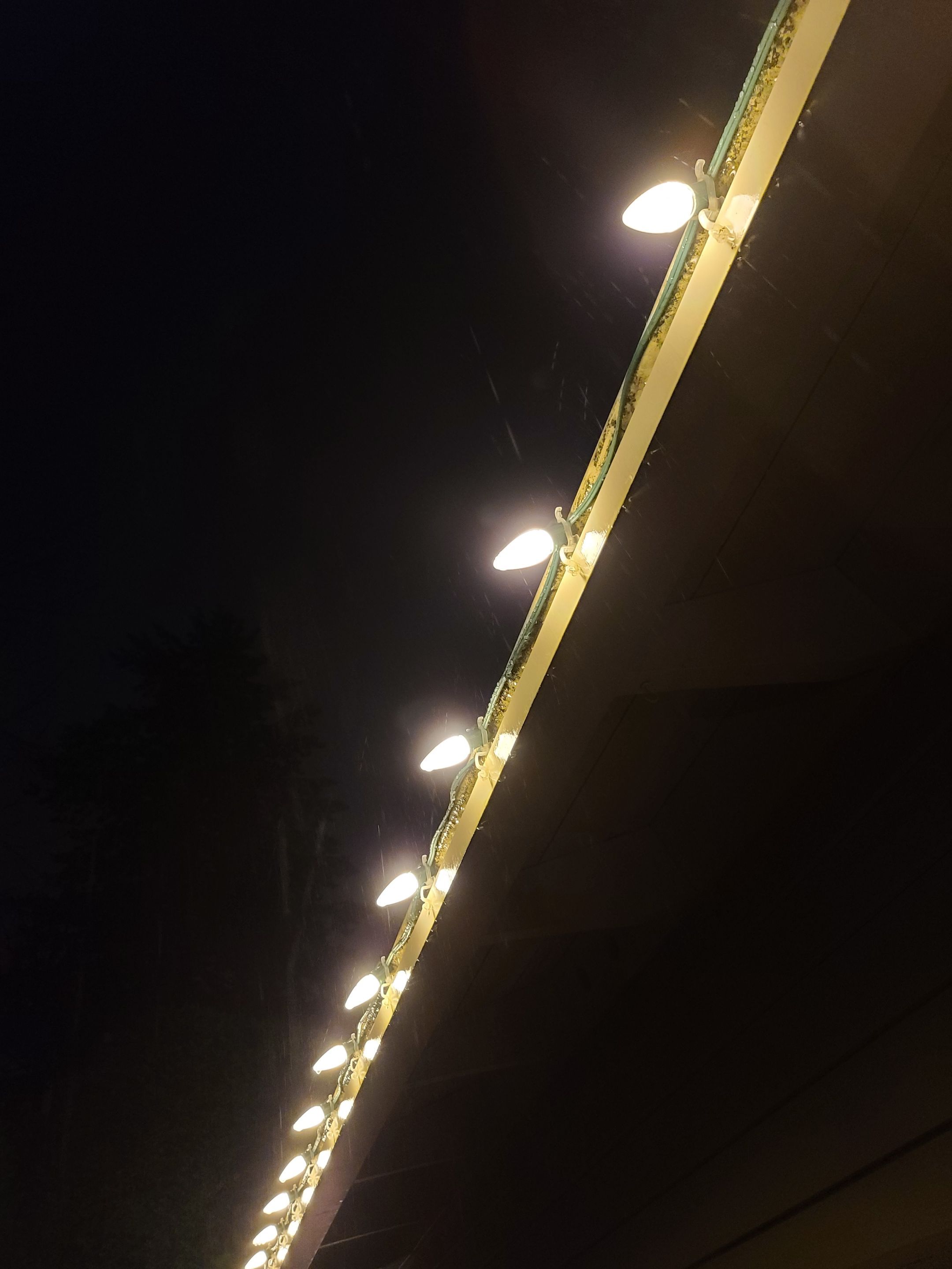 Holiday Lighting using C9 Faceted Leds - Warm White by Paul Schopp