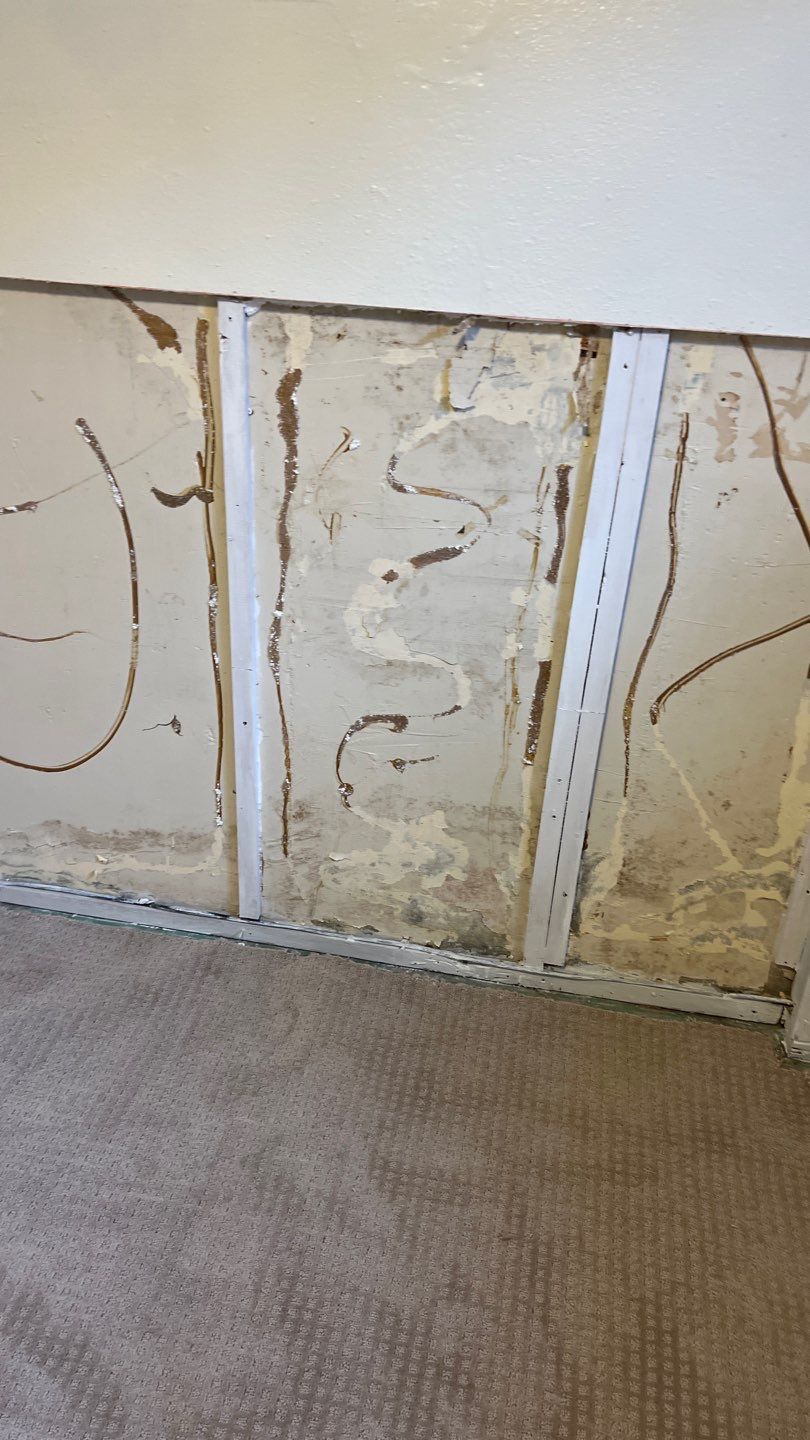 Mold Remediation by Accountable Home Services